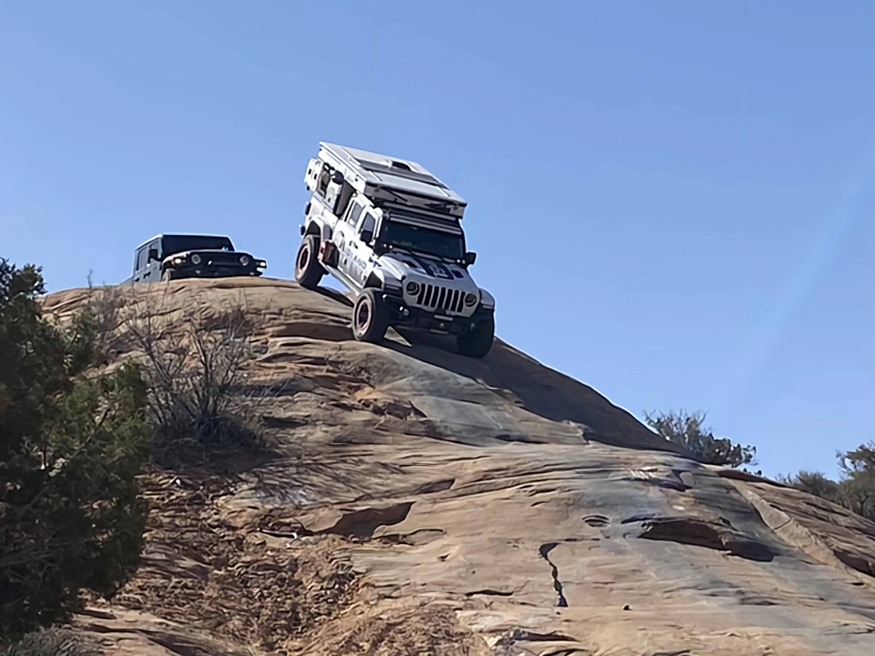 Jeep Gladiator See any Gladiators in the wild? 1000016726