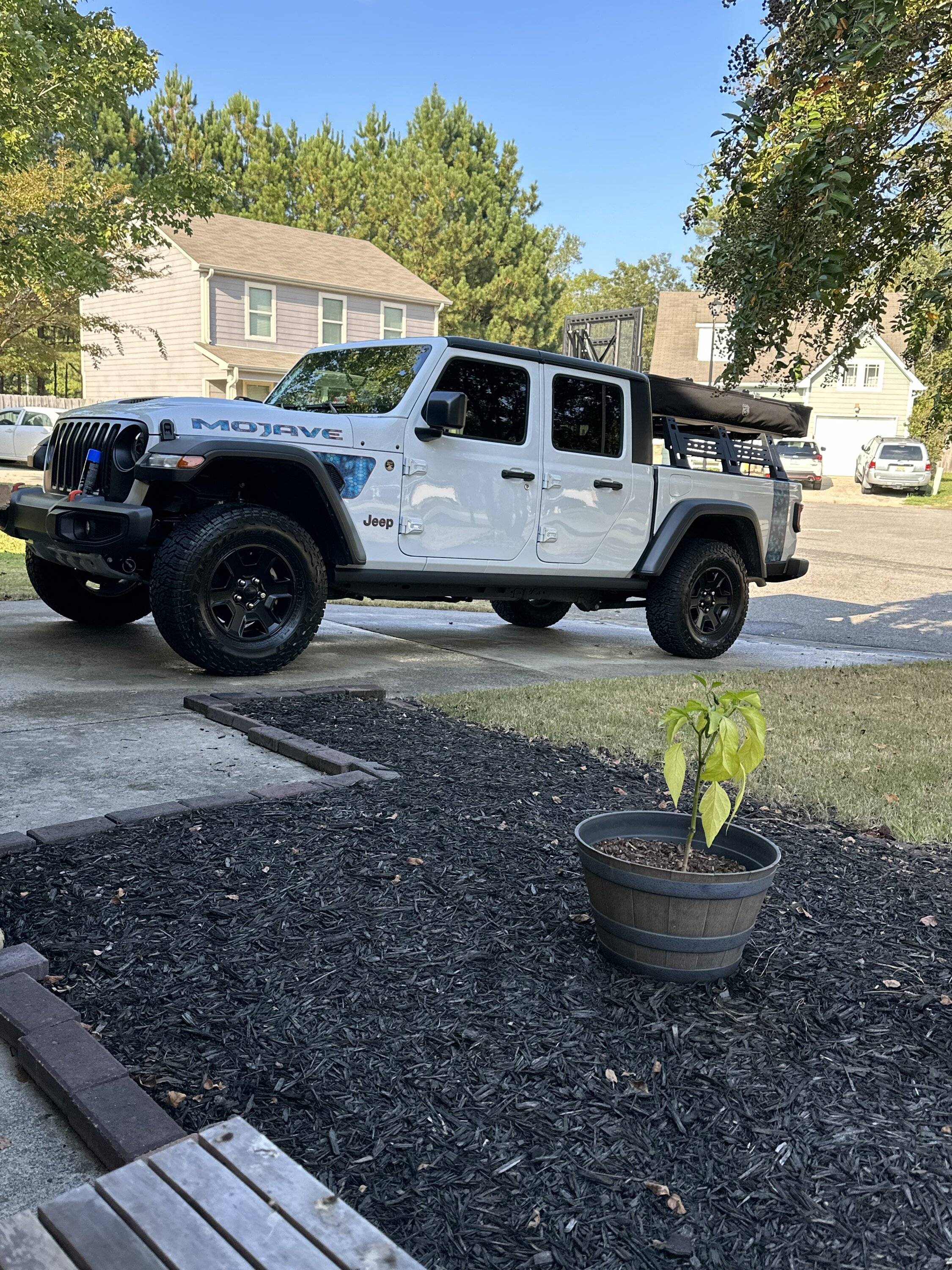 Jeep Gladiator White Jeeps > Other Colors IMG_5806