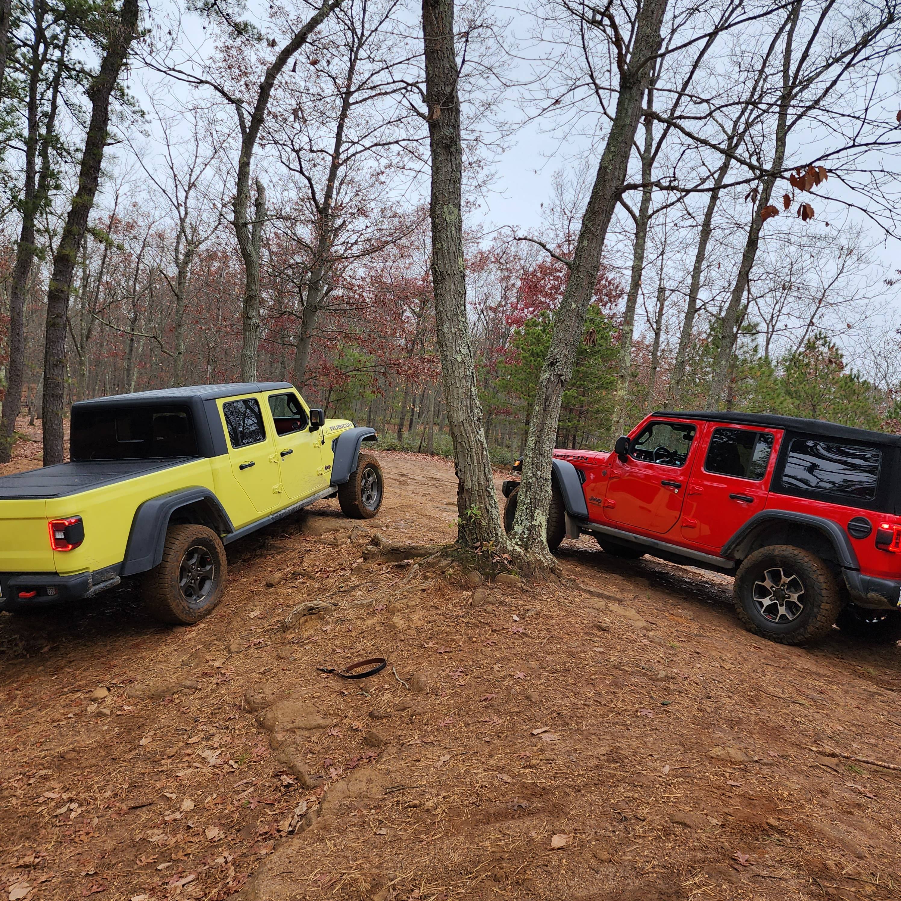 Jeep Gladiator Duecius Maximus, a build... 1000007376