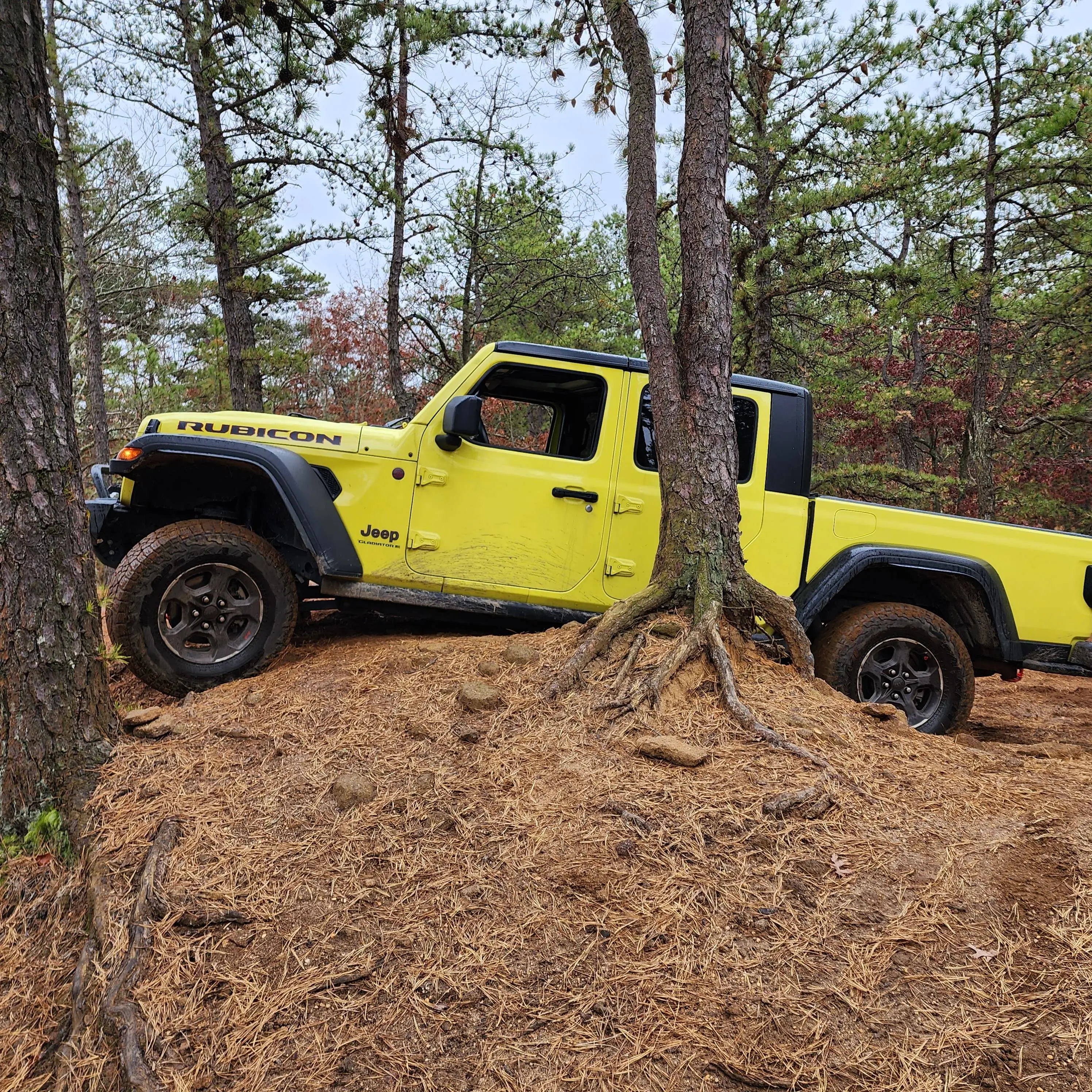 Jeep Gladiator Where did you WHEEL your Gladiator today? 1000007386
