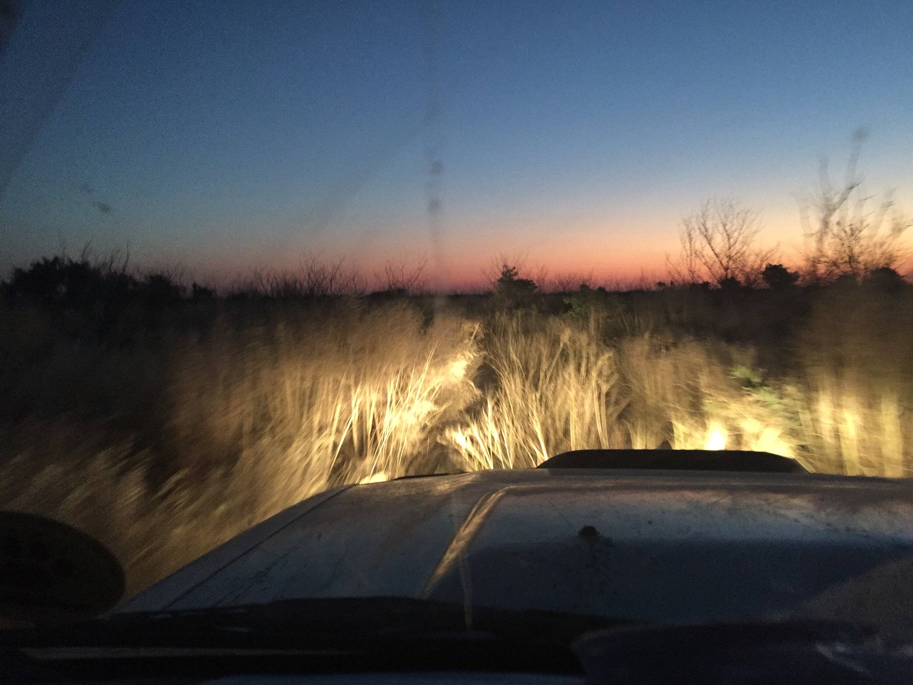 Jeep Gladiator Light Bar and Pod Light noise - Lessons learned, regrets, solutions and options IMG_2744