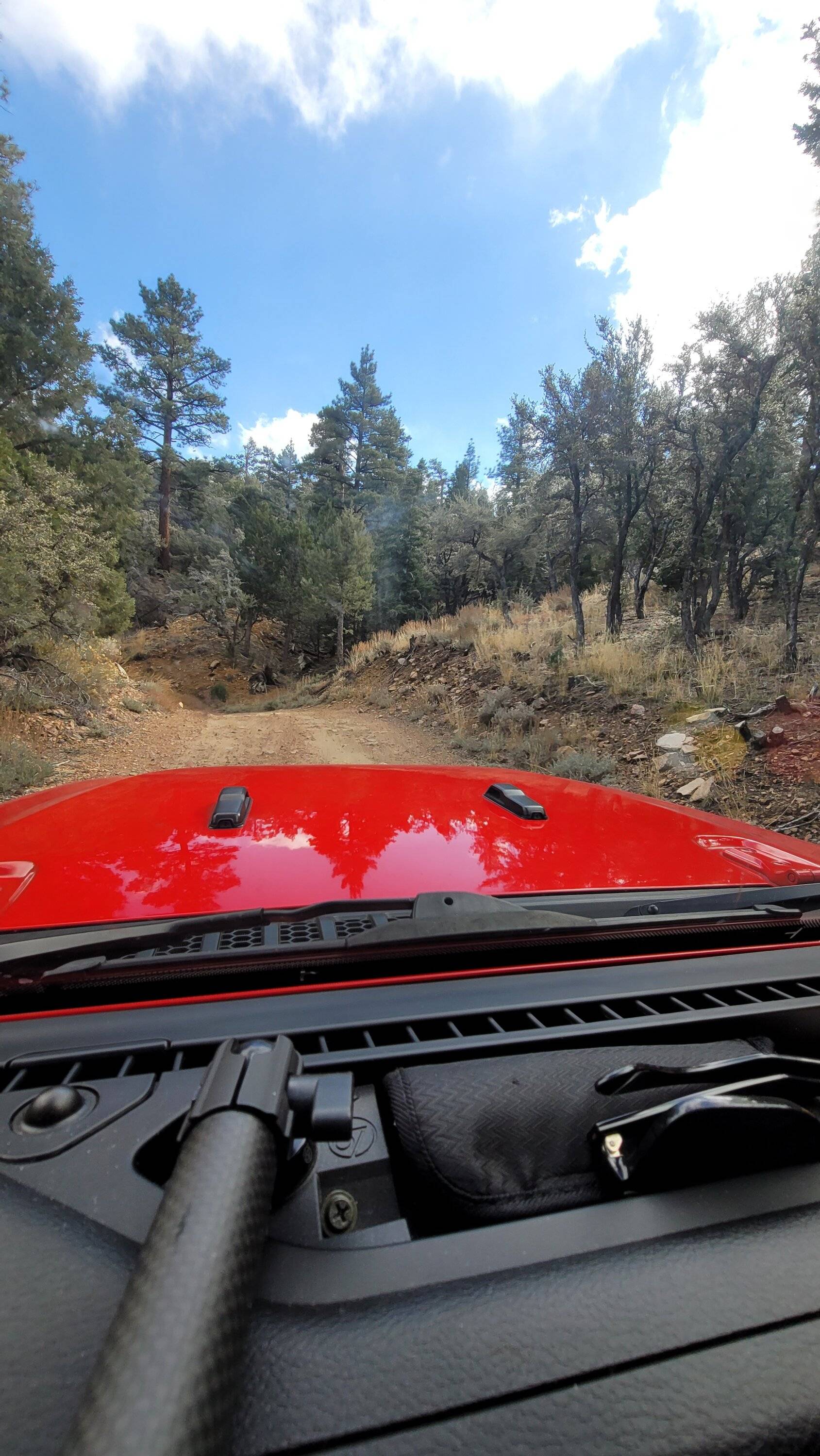 Jeep Gladiator Where did you take your Gladiator Today? 20231124_115447