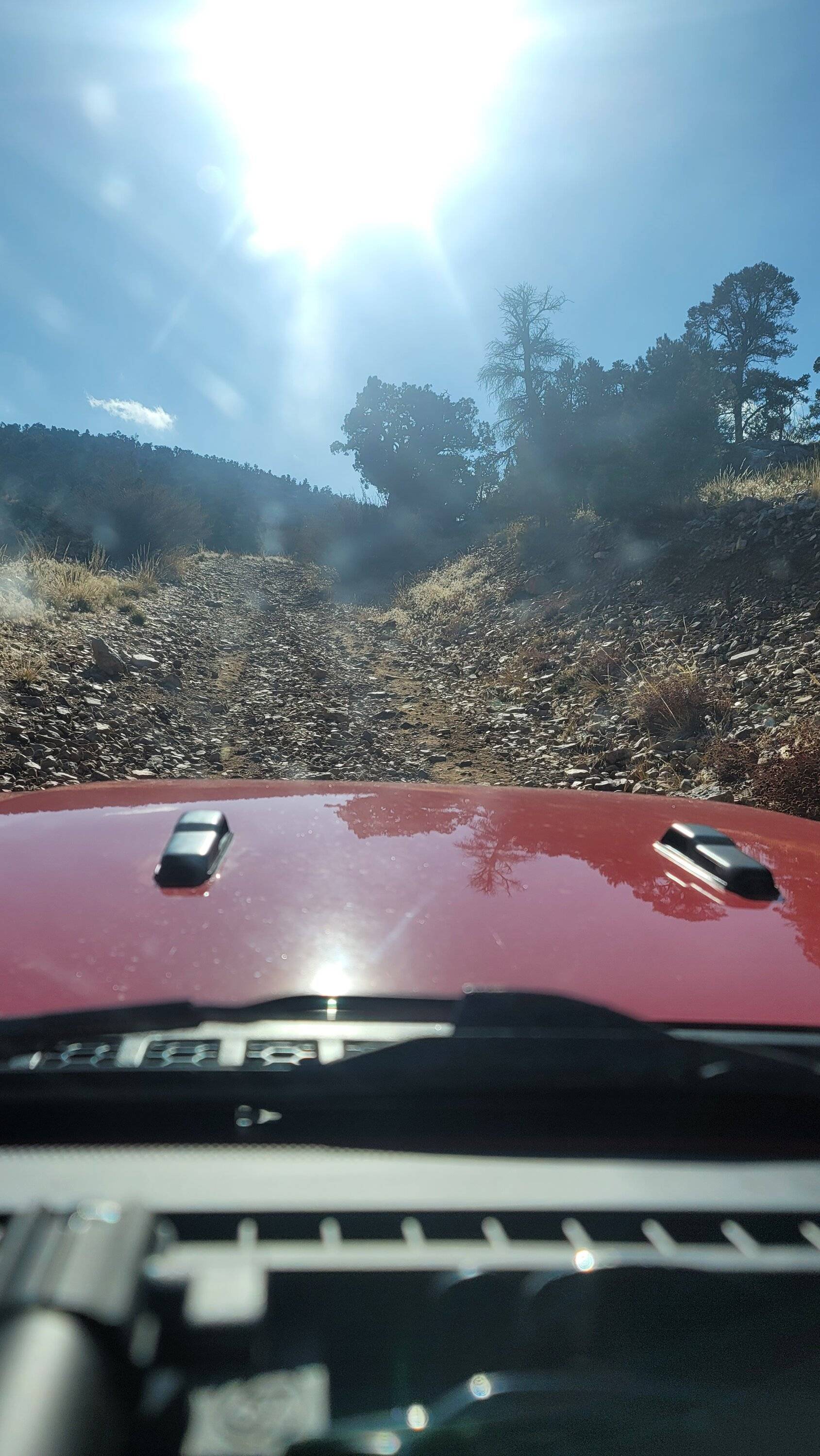 Jeep Gladiator Where did you take your Gladiator Today? 20231124_132710