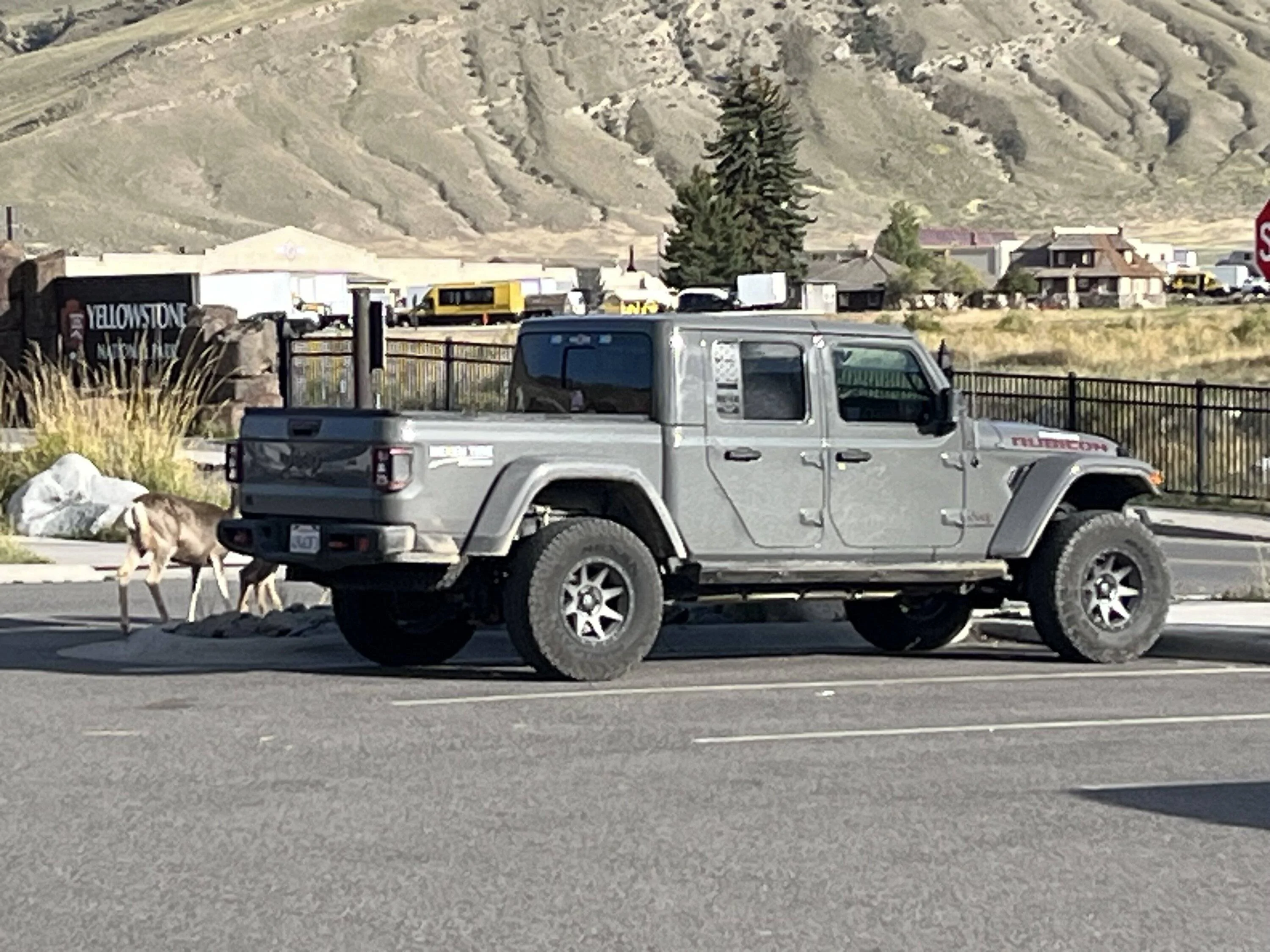 Jeep Gladiator Wheels with Sting Ray Color Gladiator? IMG_6717