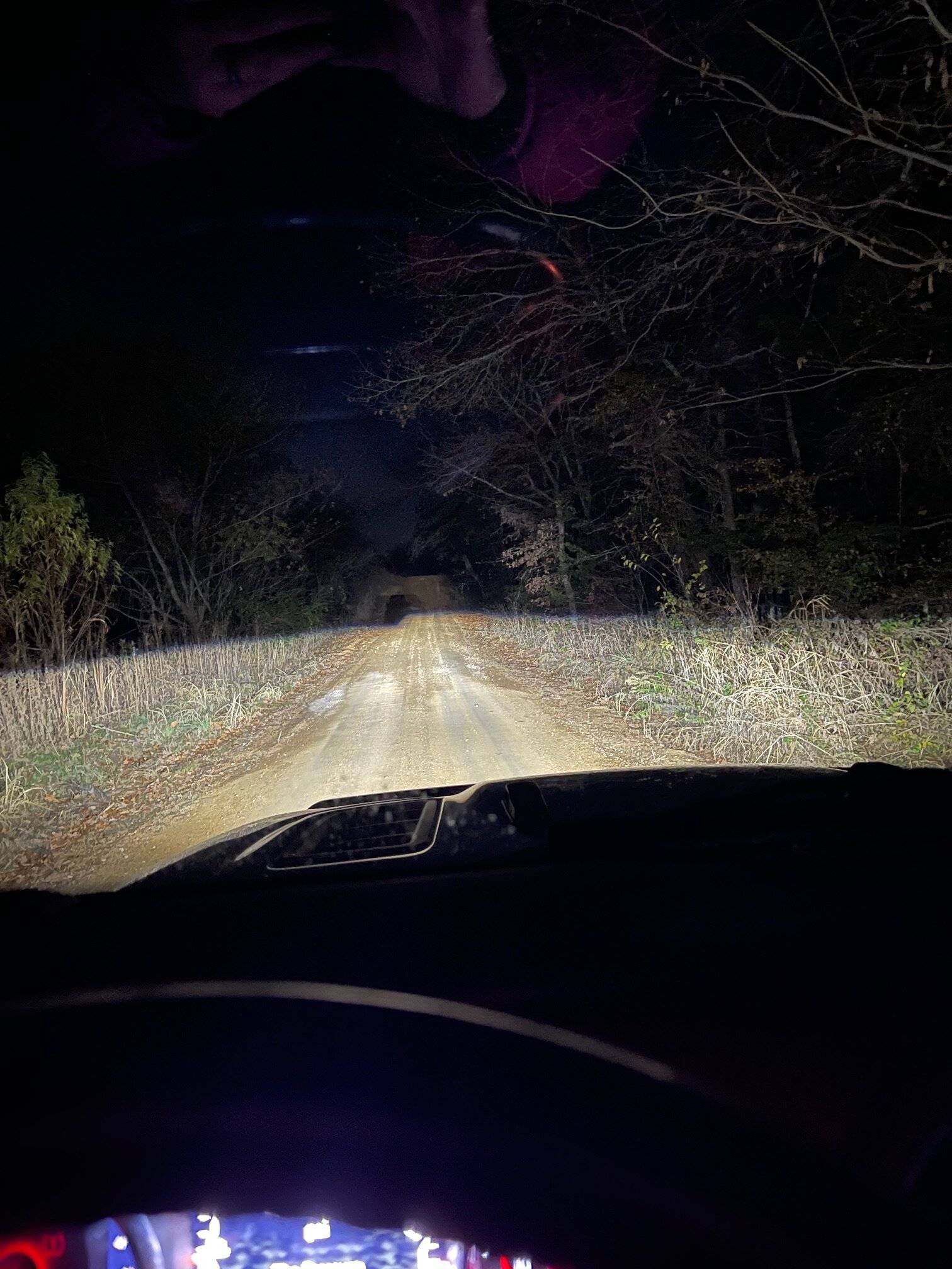 Jeep Gladiator Budget LED Headlights?? Diode Dynamics