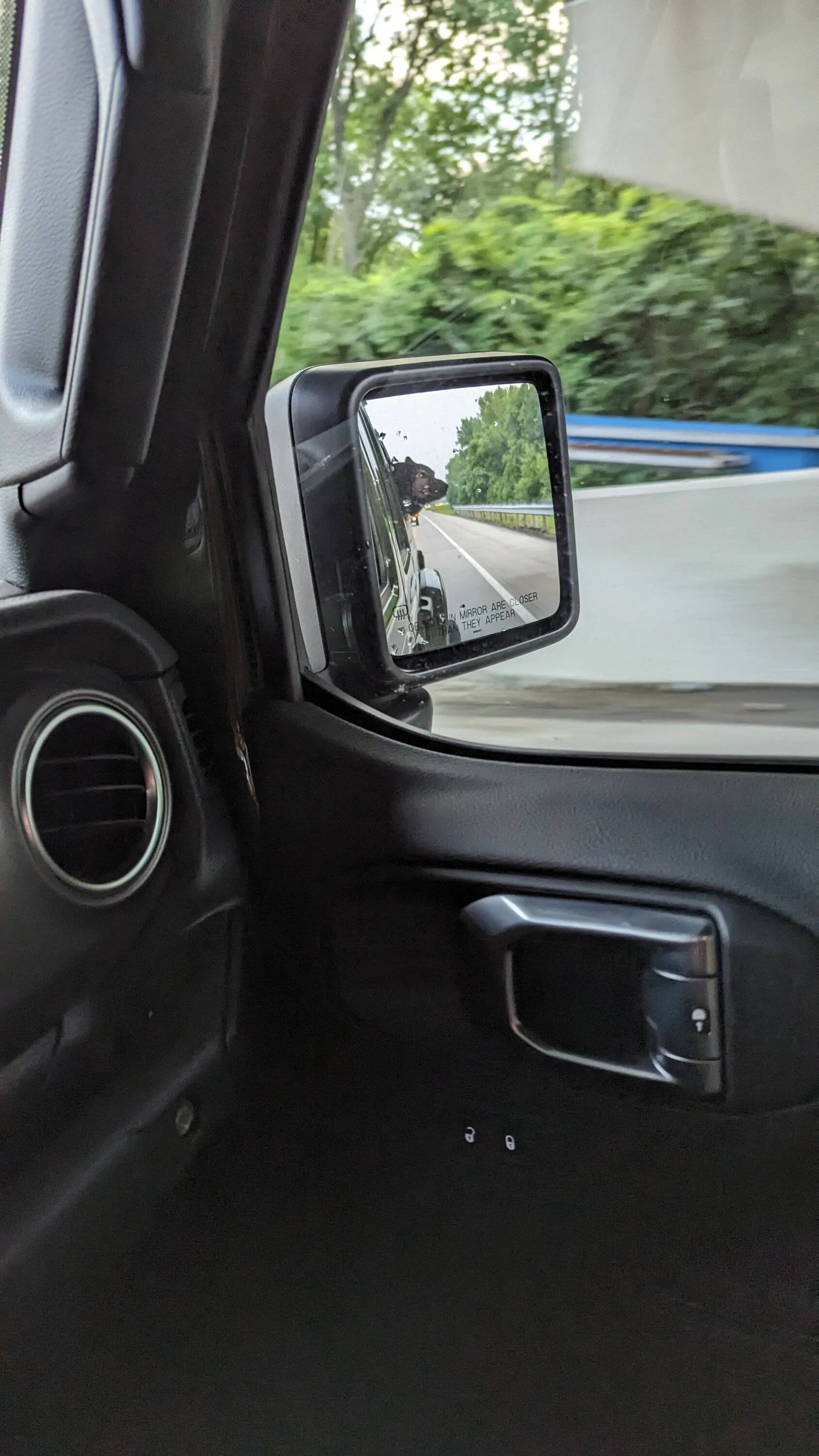 Jeep Gladiator Let’s see your pets cause they are the best companion you can have!!!!! PXL_20230718_105830902