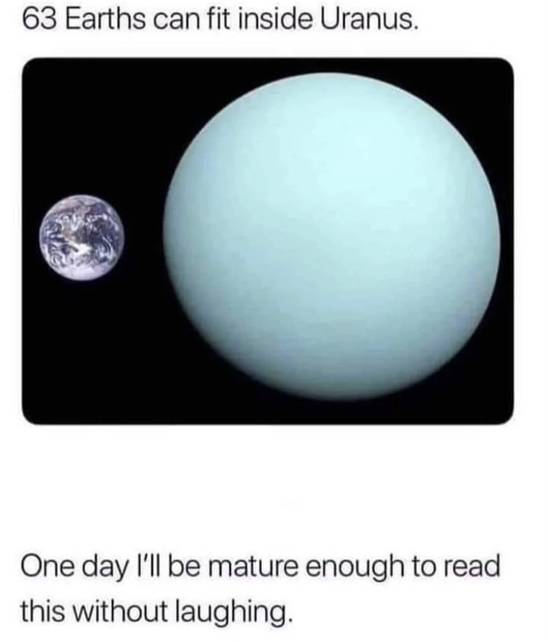 wphovne0m98o.jpg