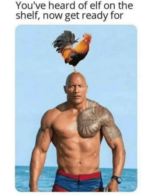 1702693559165.png