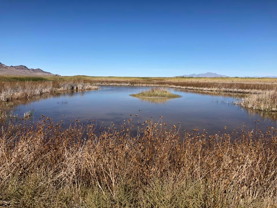 Jeep Gladiator Running the entire expanse of the Great Salt Lake nc_oc=AQnuTriRXvvOqmQPDyxsdOp61ERHofpH1TRrQP2ilshJn_Cf5Egz8Q1yWbuK-Kp8-_o&_nc_ht=scontent-sjc3-1