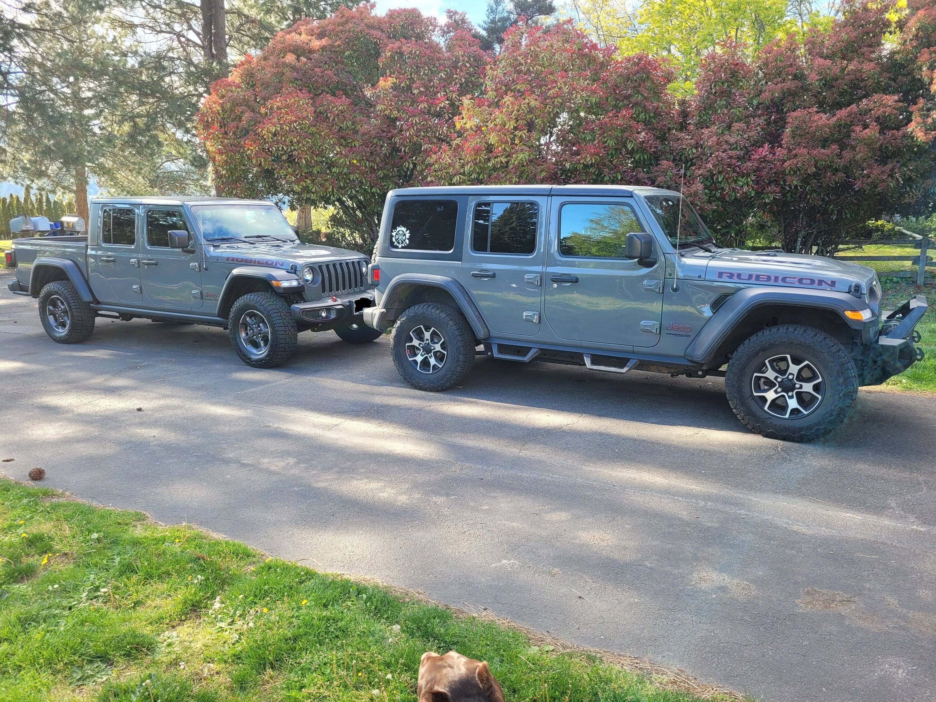 Jeep Gladiator Would you buy a diesel gladiator again? 20220510_174628~2