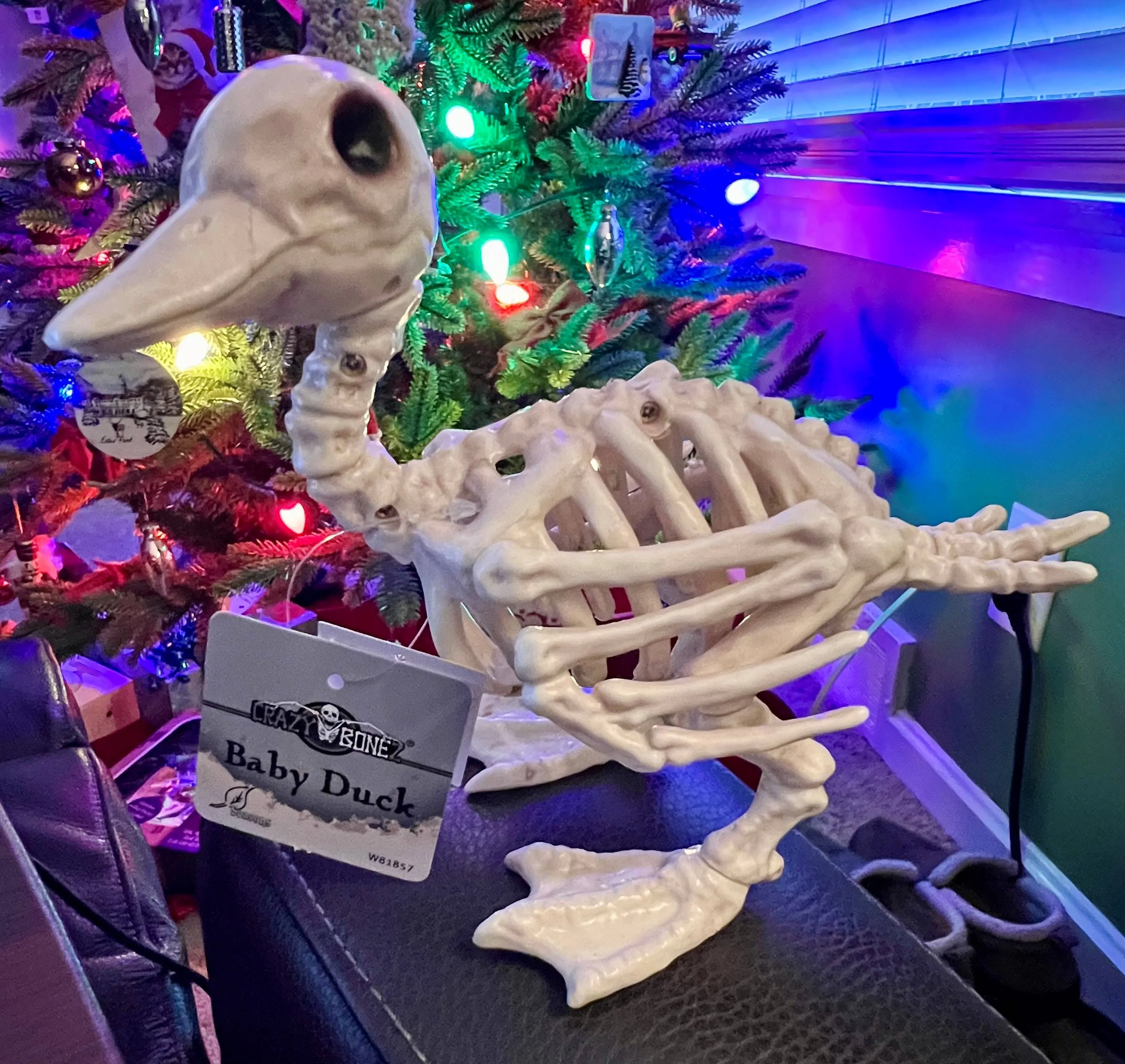 Jeep Gladiator What did Santa bring your JT??? babyduck