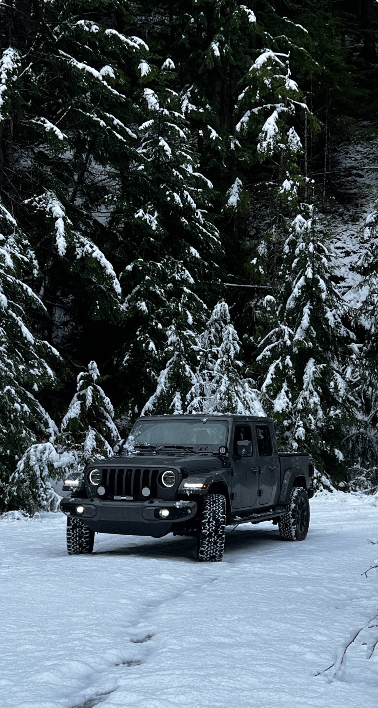 Jeep Gladiator High Altitude Gladiator pics ! Let’s see them IMG_7459