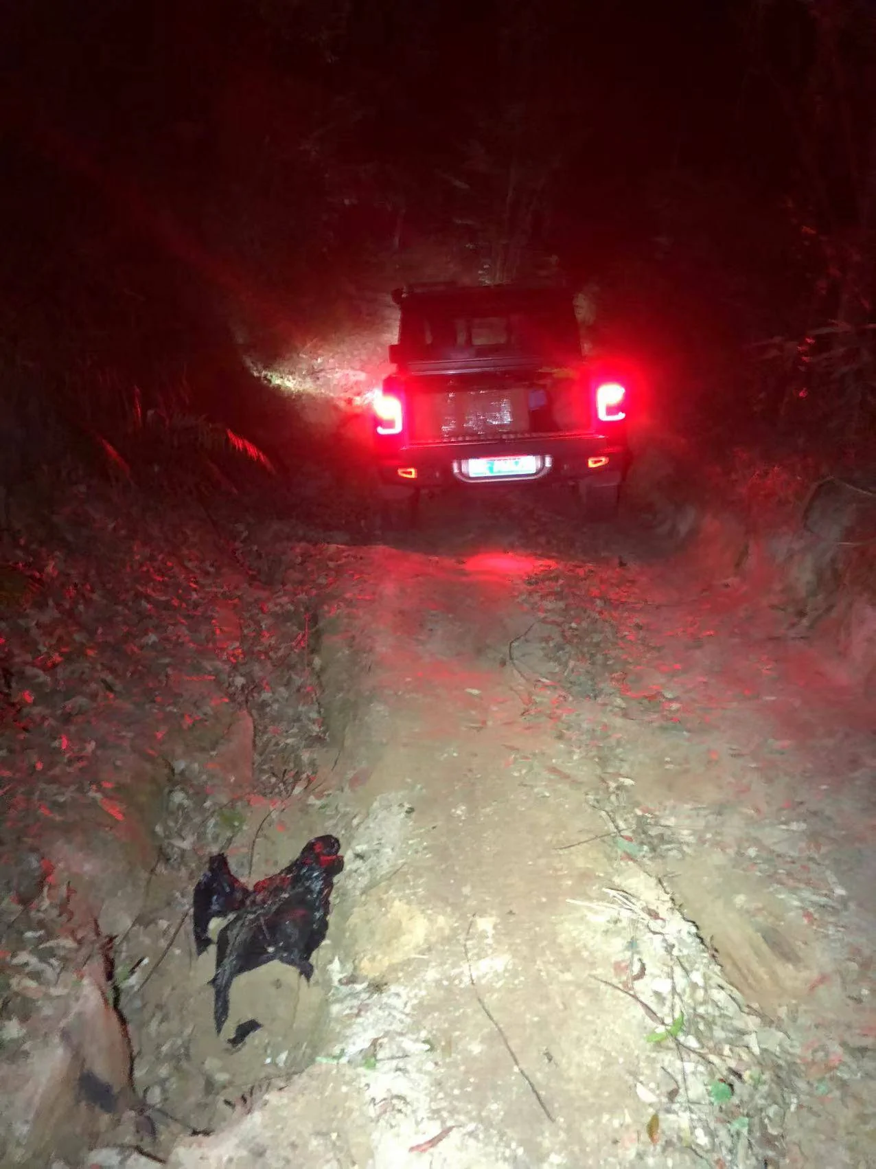 Jeep Gladiator JT’s daily routine as a weekend warrior 3151703436929_.pic