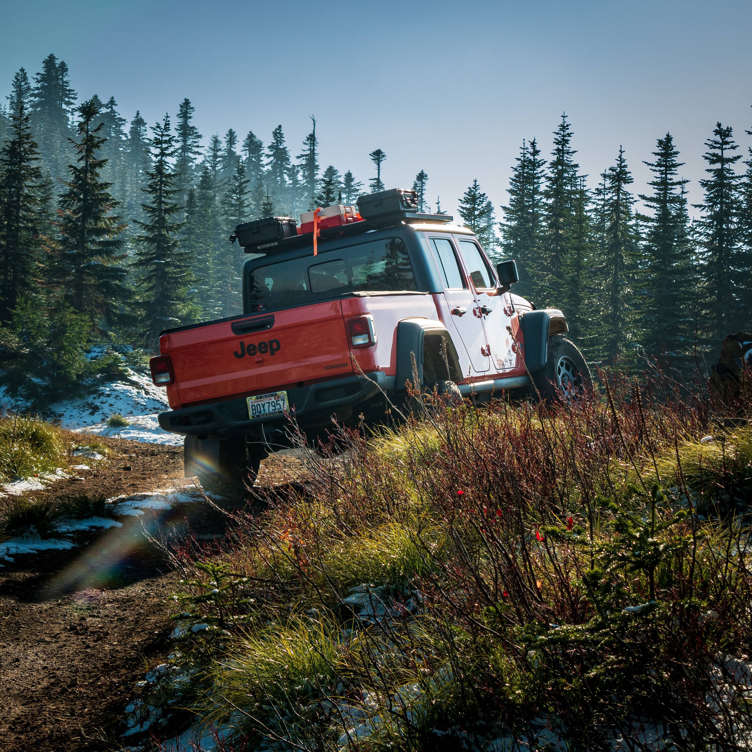 Jeep Gladiator It's Tushy Tuesday! Let's see those rear photos _1320586