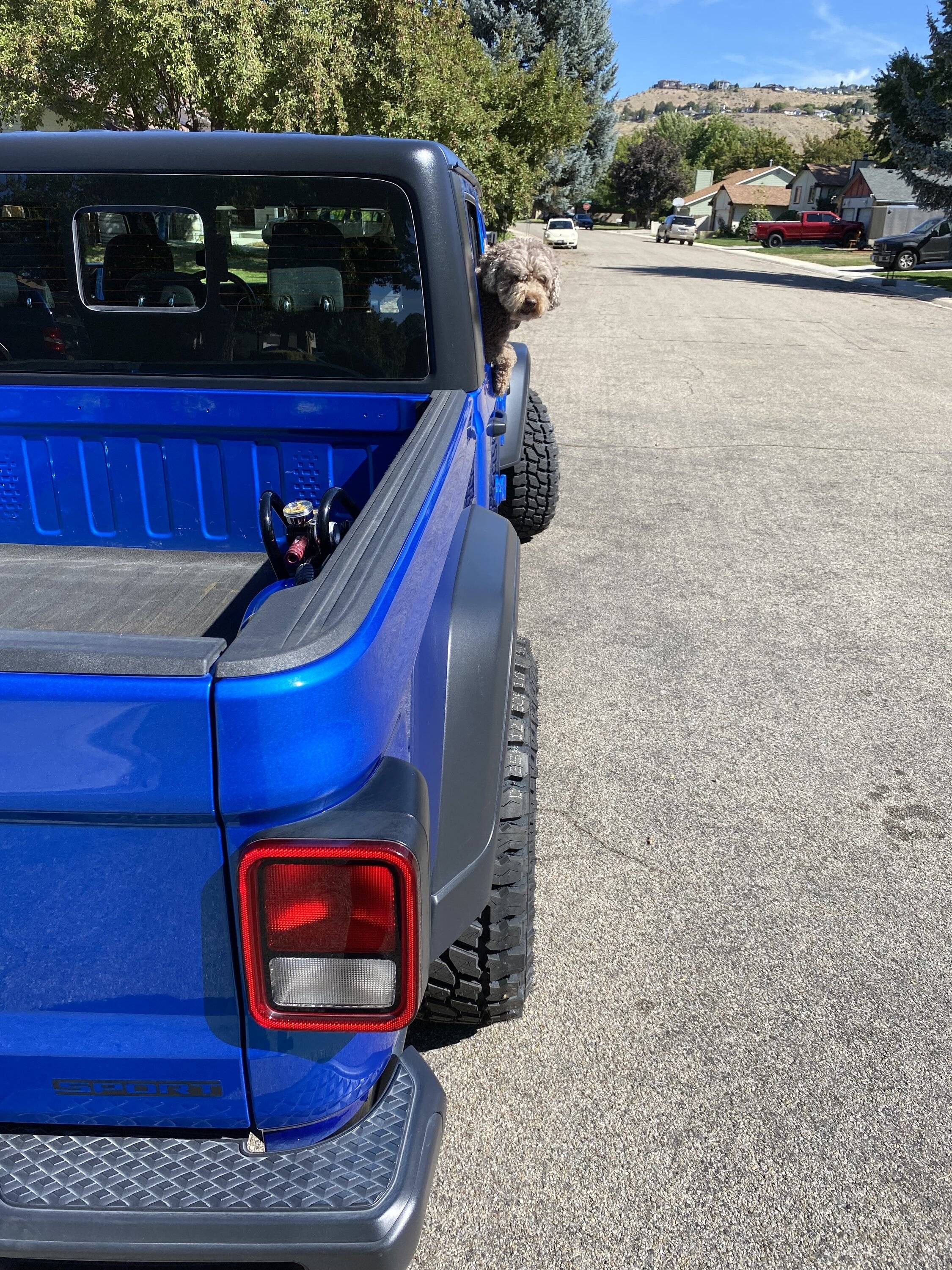 Jeep Gladiator It's Tushy Tuesday! Let's see those rear photos IMG_0900