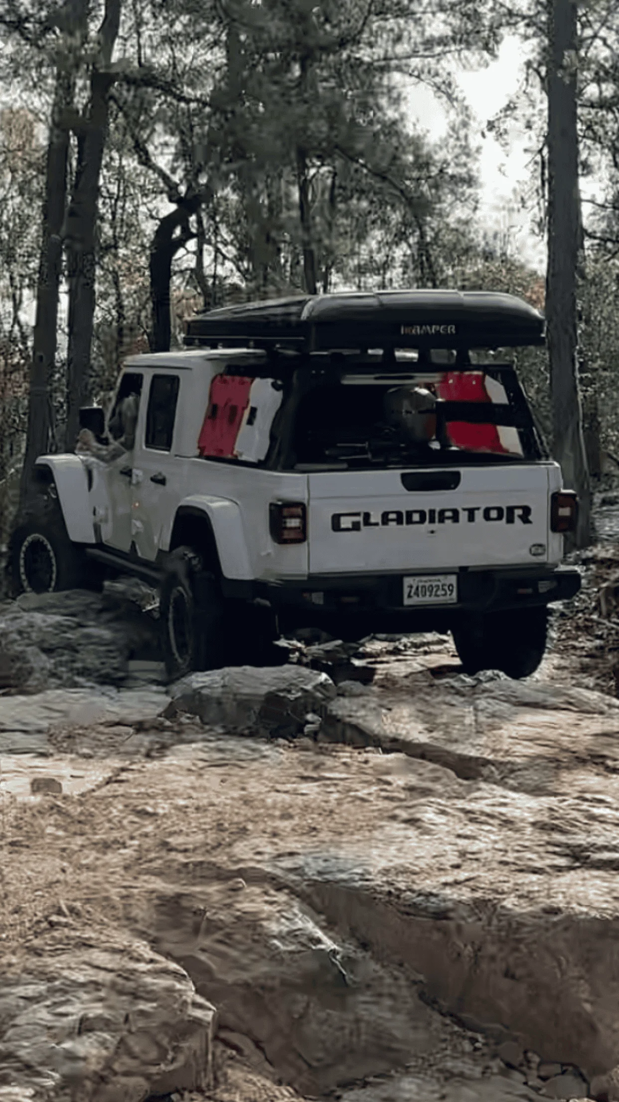Jeep Gladiator It's Tushy Tuesday! Let's see those rear photos IMG_8791