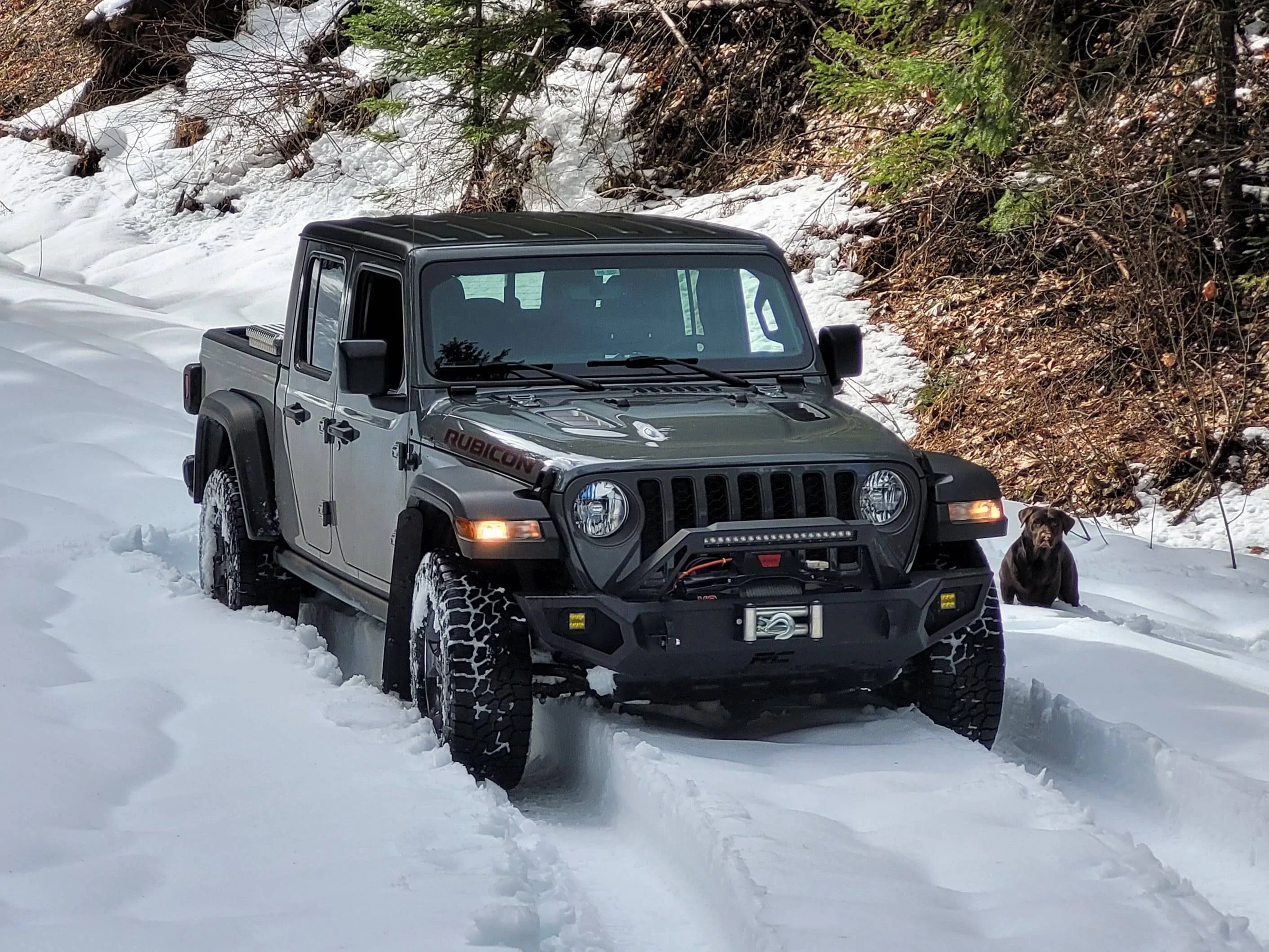 Jeep Gladiator Gladiators Snow Wheeling - Post Your Pics! imag