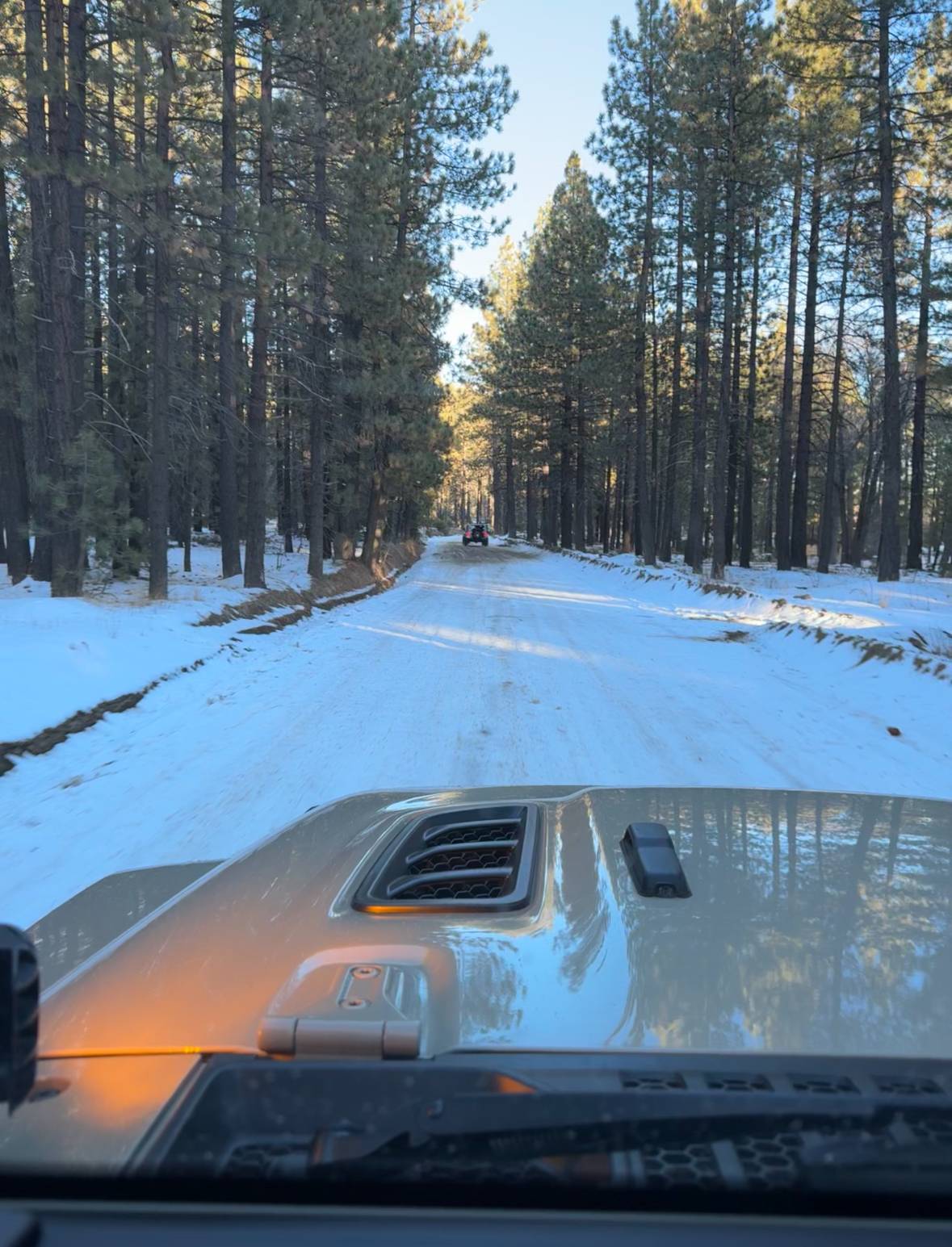 Jeep Gladiator Gladiators Snow Wheeling - Post Your Pics! IMG_1482