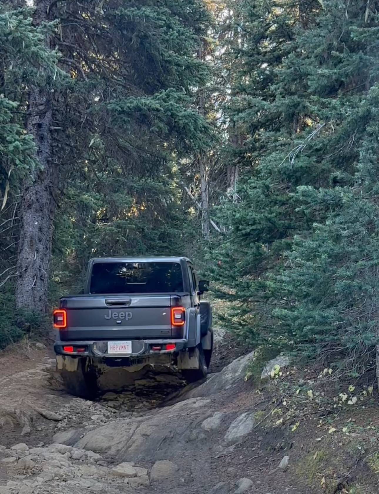 Jeep Gladiator It's Tushy Tuesday! Let's see those rear photos Whipsaw