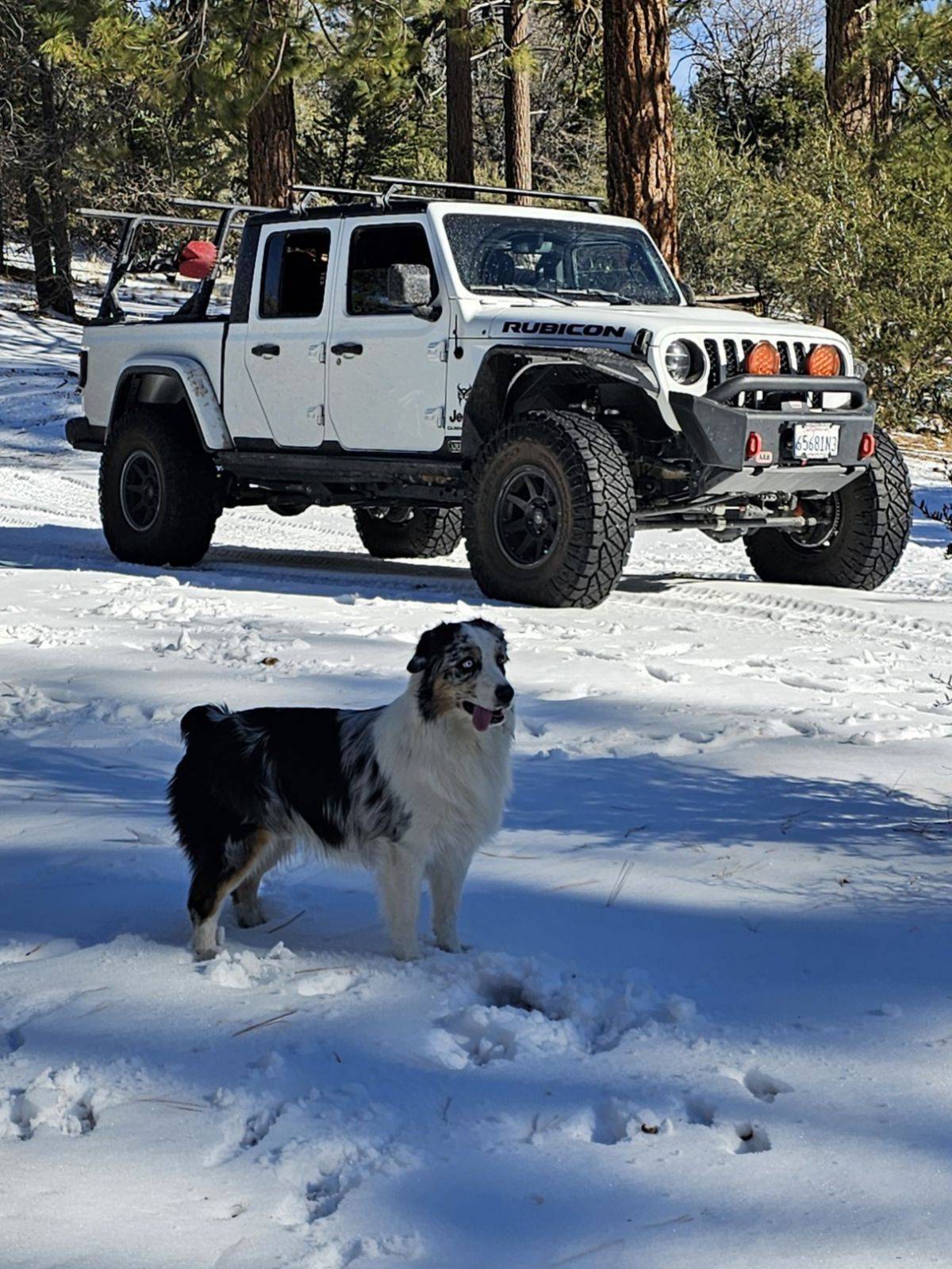 Jeep Gladiator Gladiators Snow Wheeling - Post Your Pics! image000000