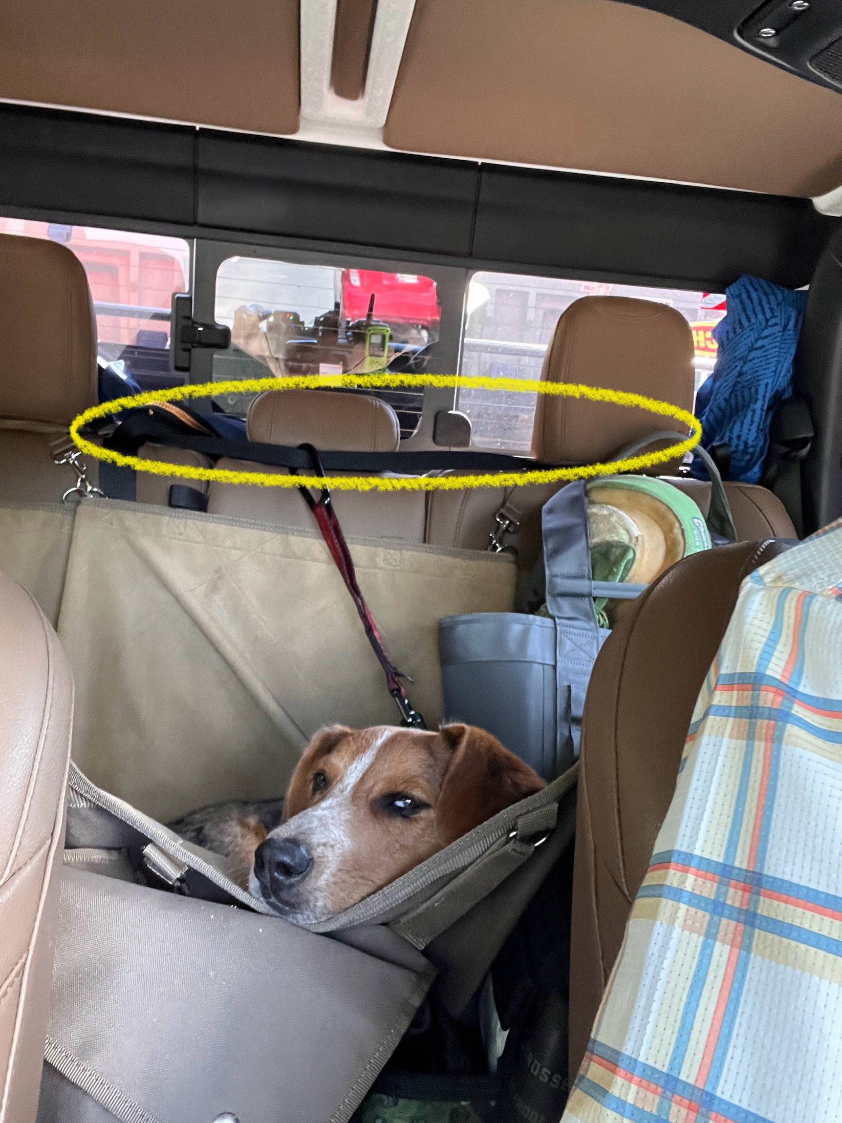 Jeep Gladiator Recommendations for rear seat dog bed/seat cover? IMG_3220