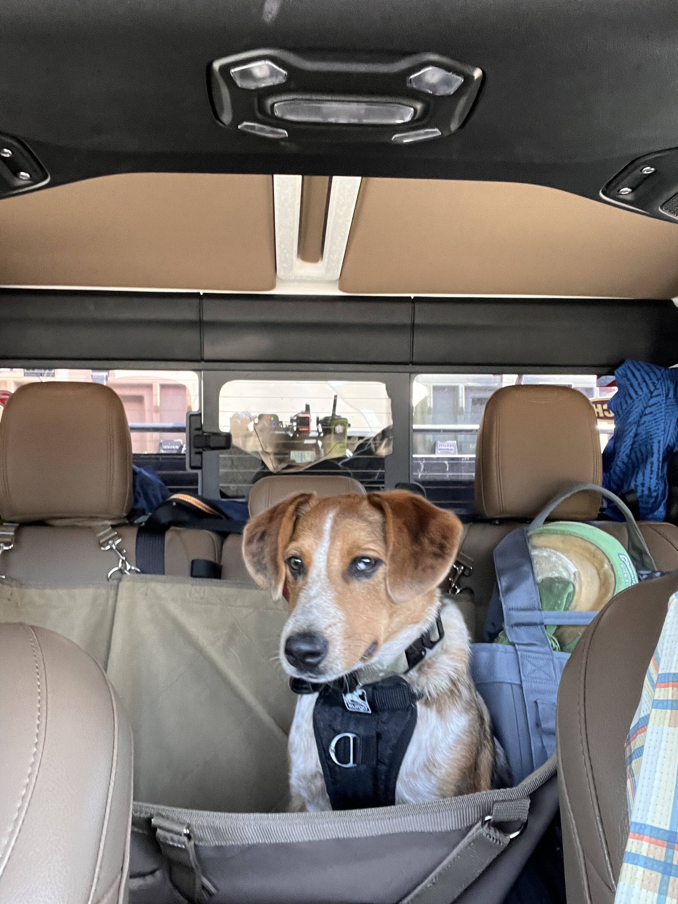 Jeep Gladiator Recommendations for rear seat dog bed/seat cover? IMG_3217
