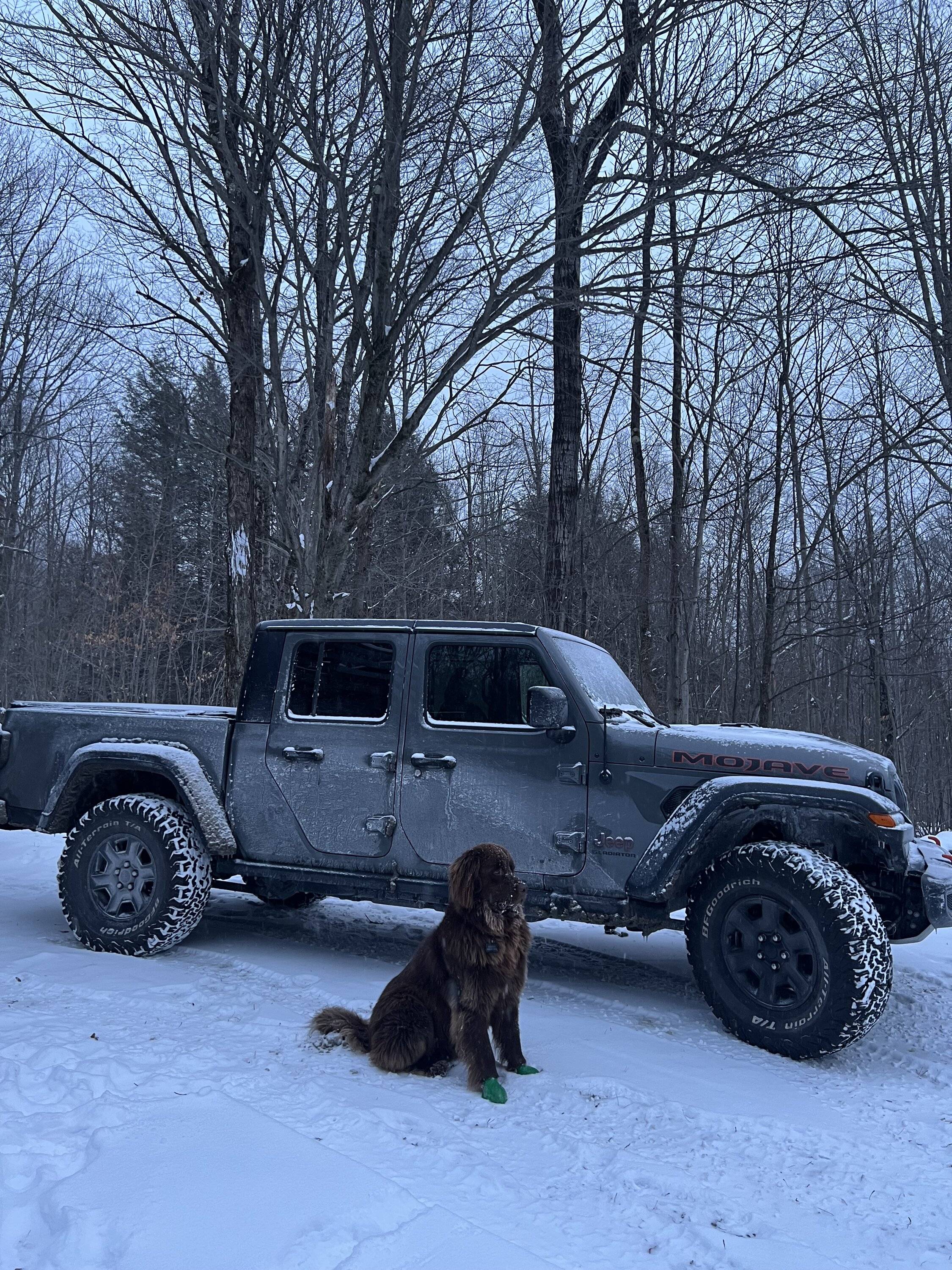 Jeep Gladiator Happy Wednesday!!! Let's see those ? Ice/ Sn❄w photos!!! tempImagezIC7yy