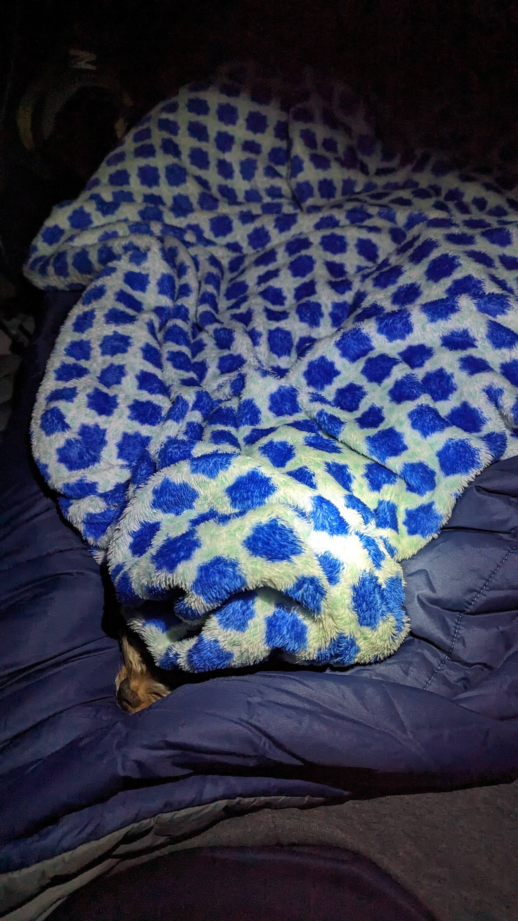 PXL_20240121_105028510.jpg
