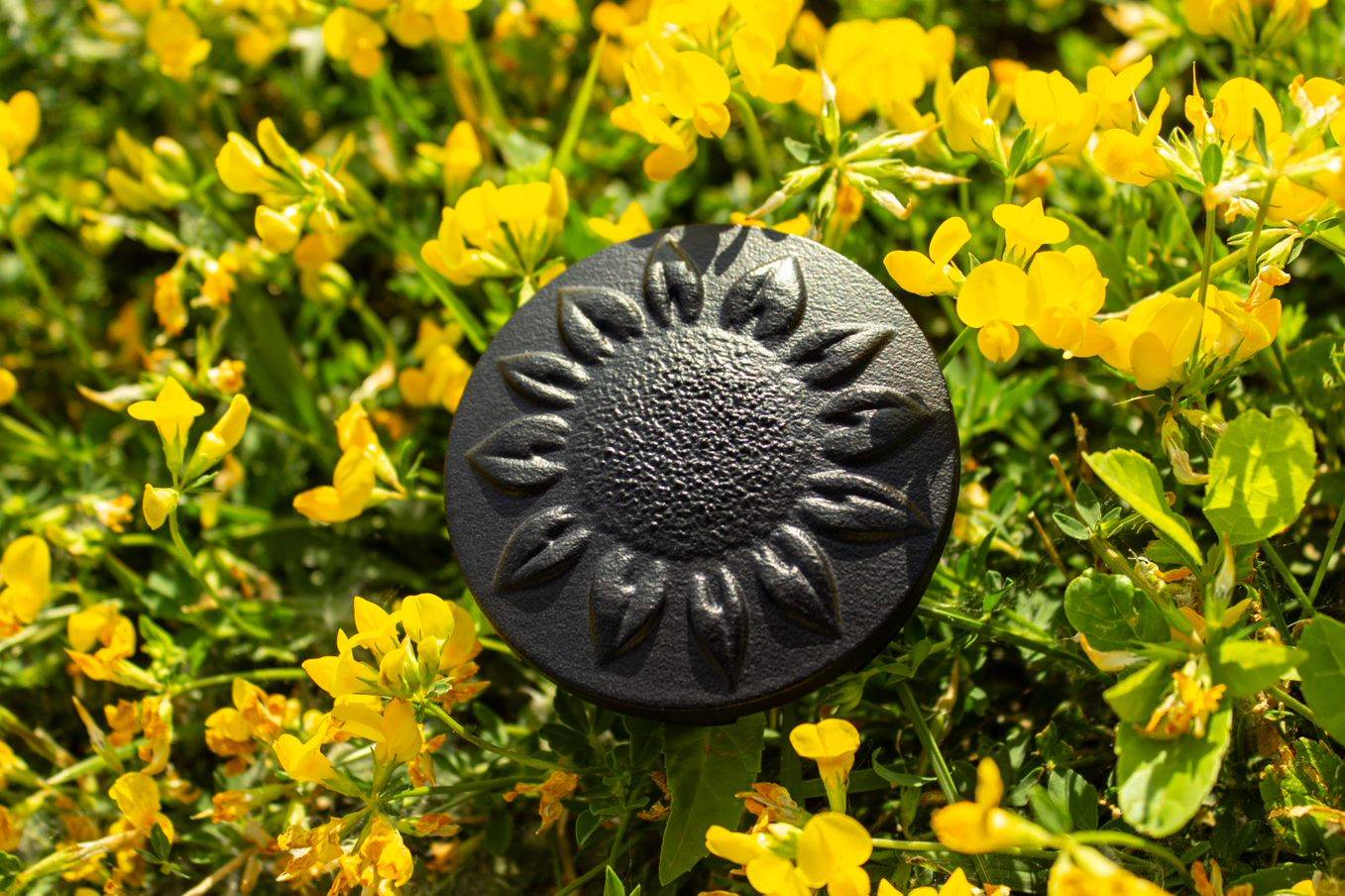 Jeep Gladiator ? ? Let the Sunshine In .... sunflower