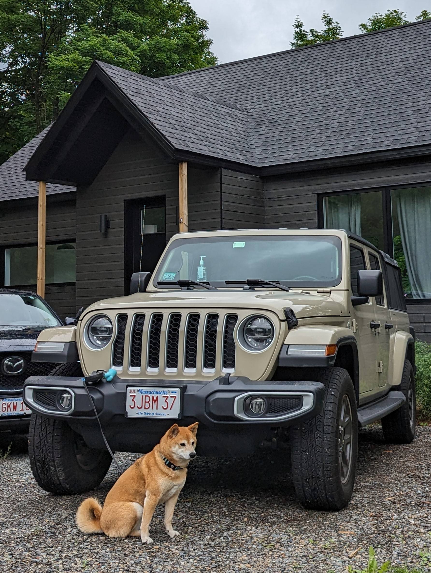 Jeep Gladiator Let’s see your pets cause they are the best companion you can have!!!!! Toro and Tatanka