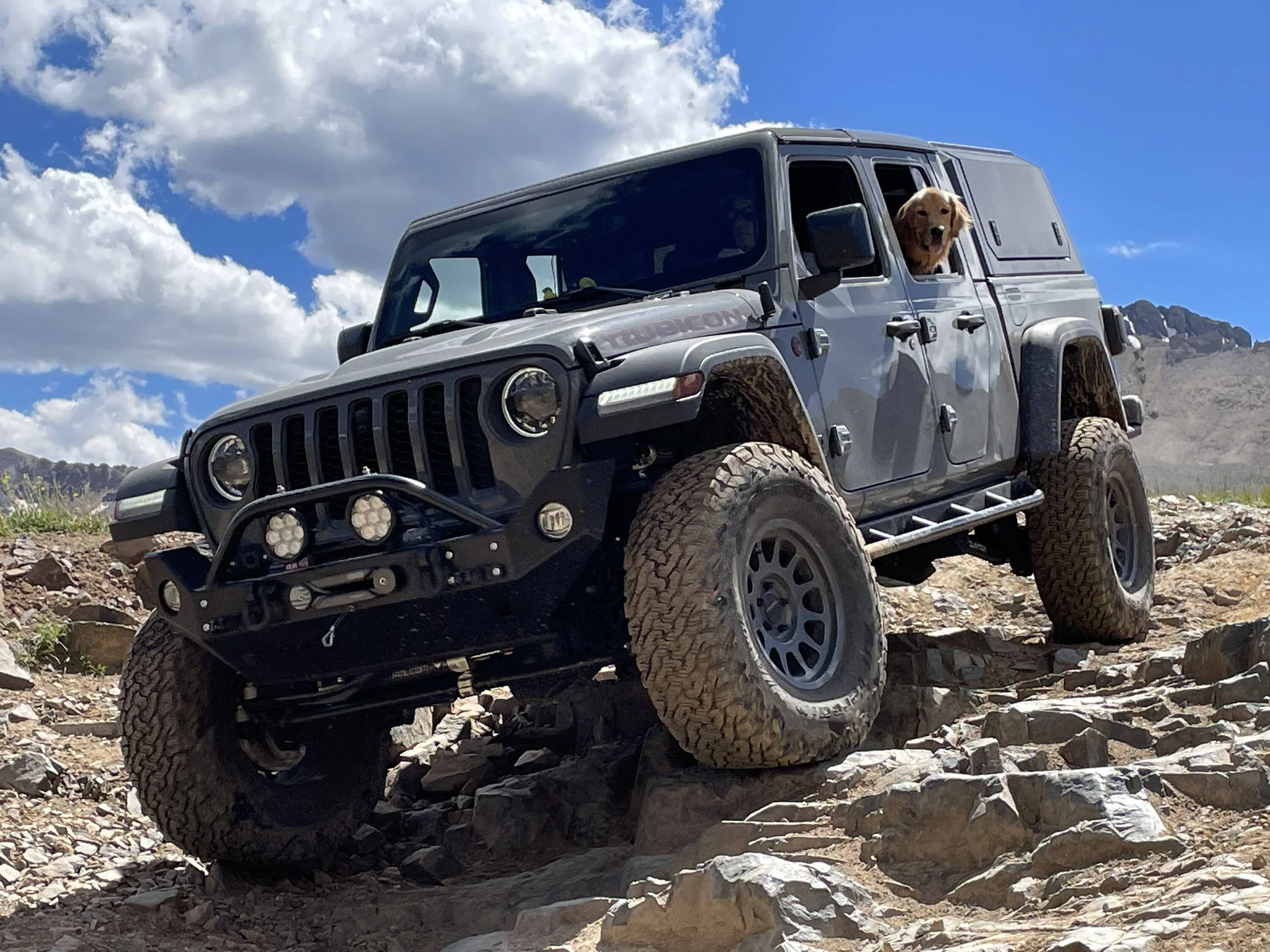 Jeep Gladiator Let’s see your pets cause they are the best companion you can have!!!!! IMG_3561 2