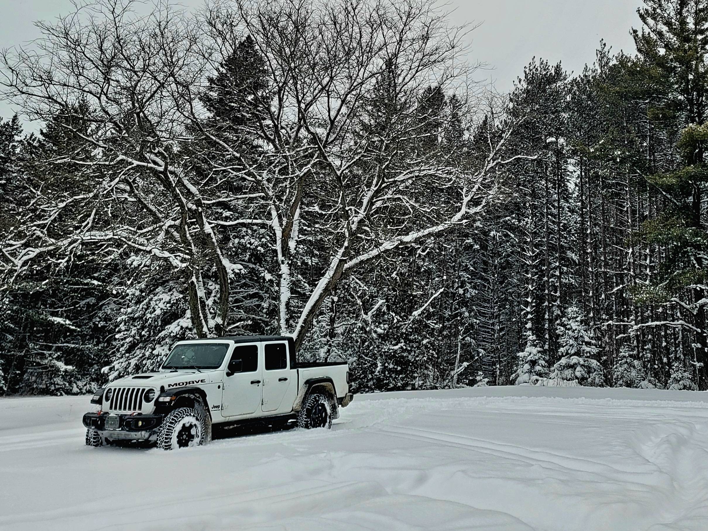 Jeep Gladiator Happy Wednesday!!! Let's see those ? Ice/ Sn❄w photos!!! 20240118_114848