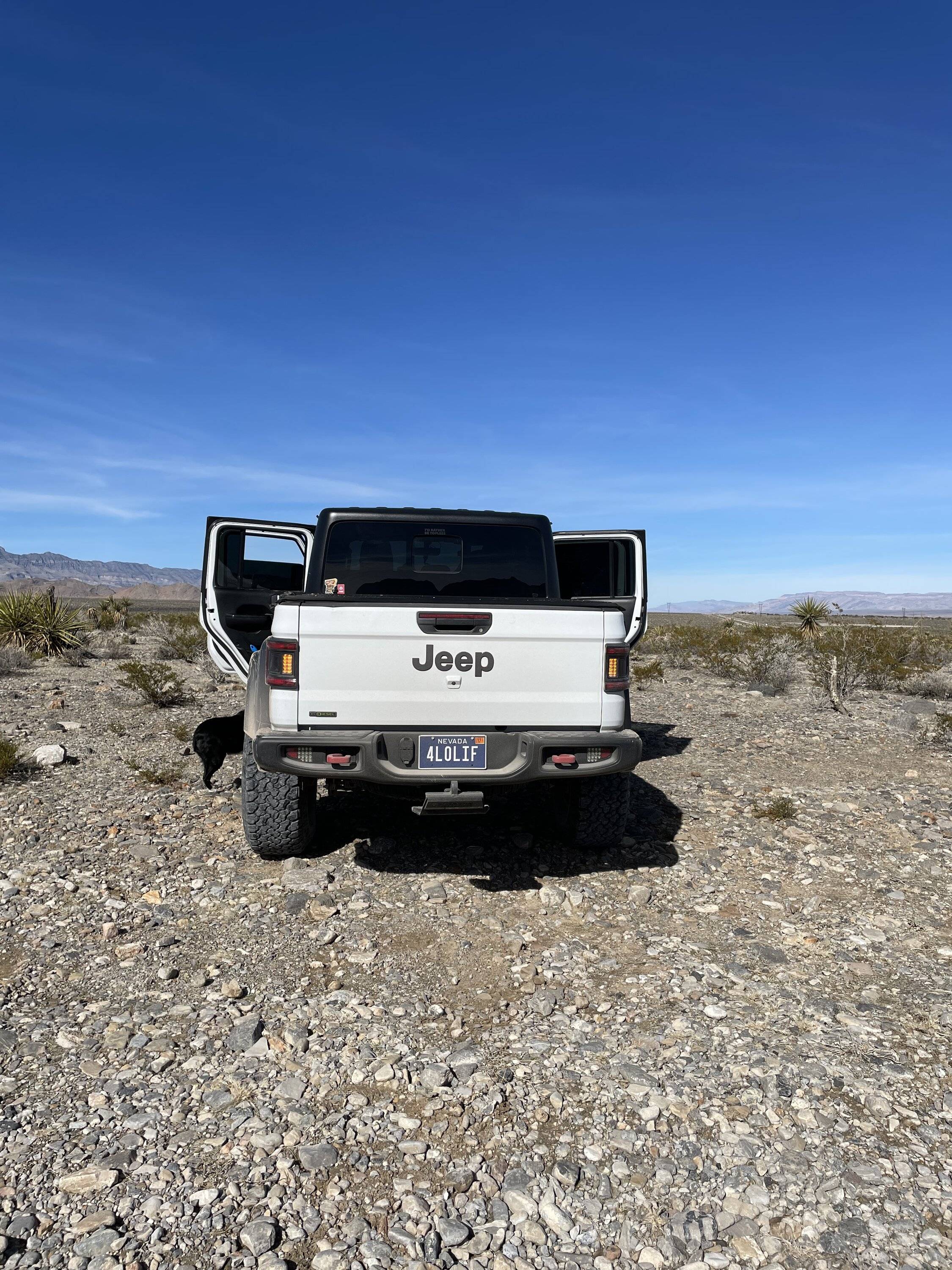 Jeep Gladiator ?New Product Alert?ORACLE Lighting Dual Function Amber/White Reverse LED Module for Jeep Gladiator JT Flush Tail Lights IMG_0214