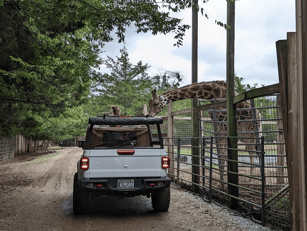 Jeep Gladiator Is this the best deal on a Gladiator? 1706708787131