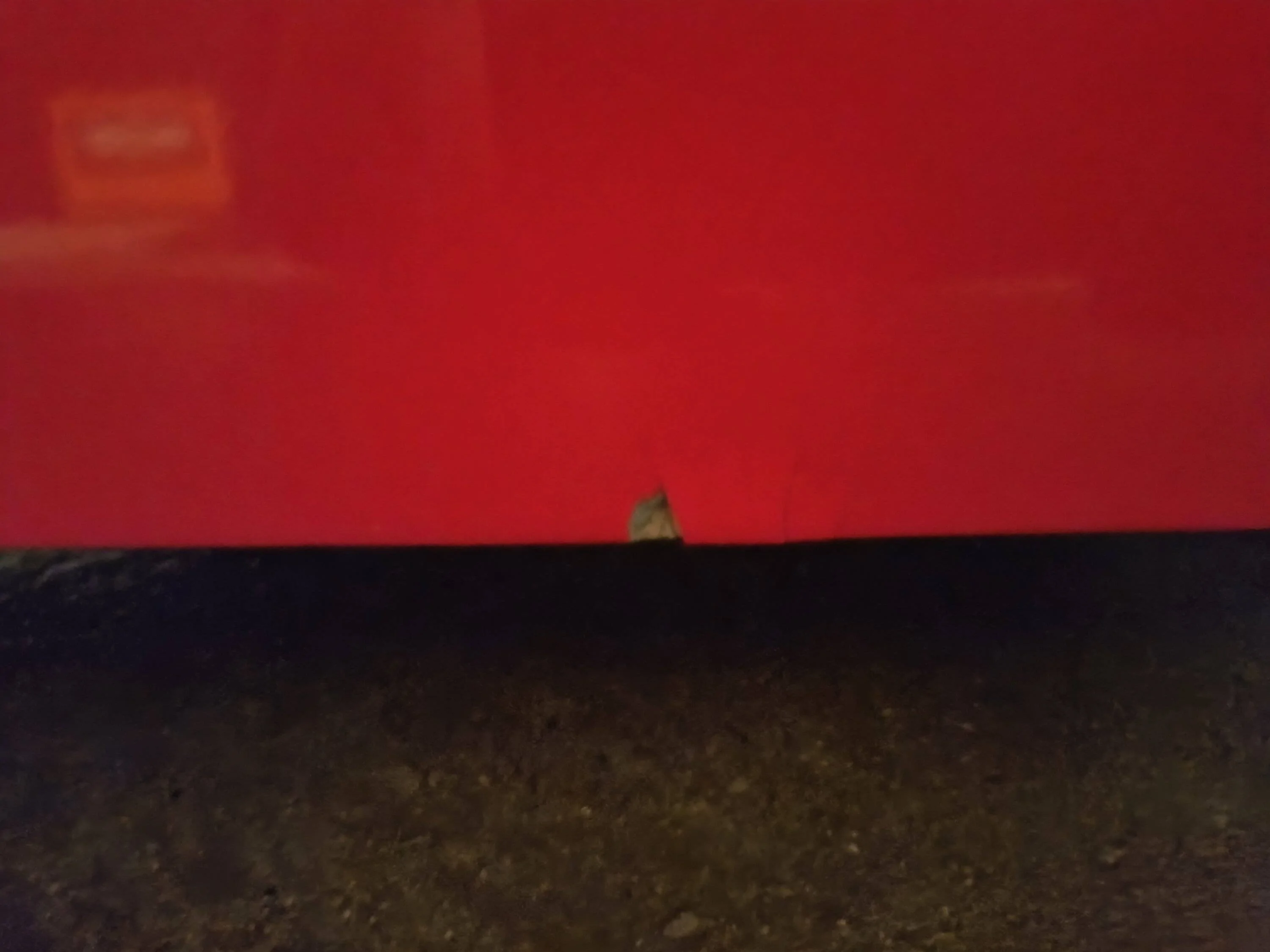 Jeep Gladiator ARE CX Classic Truck Cap Red body color Jeep Gladiator 20-23 $2,000 OBO IMG_20240130_183548752