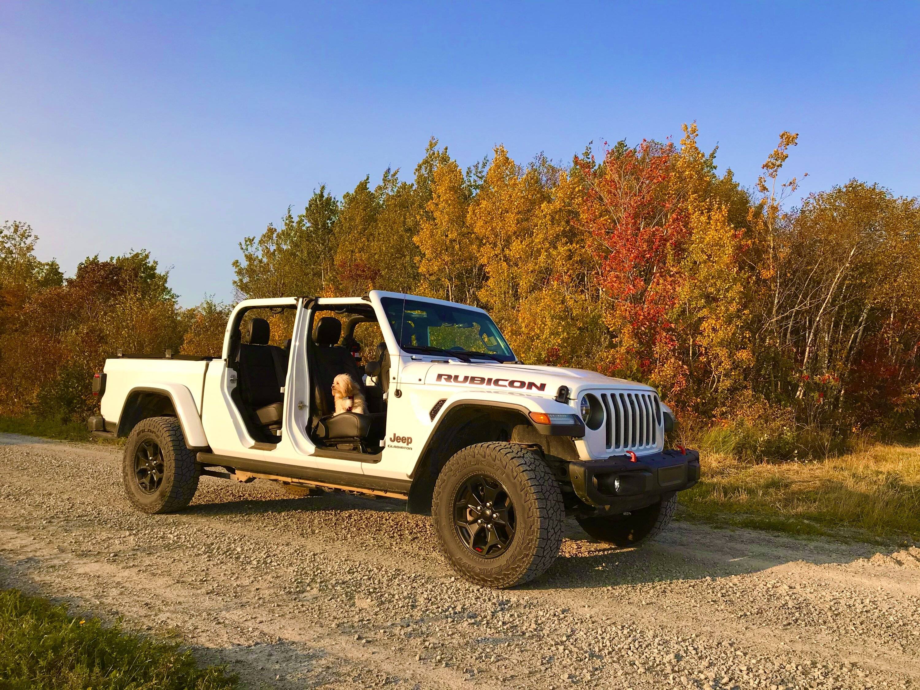 Jeep Gladiator Happy Fri-yay!!! Let's see those naked (JEEP) photos! **Admin Warning: No Nudity allowed** IMG_3906
