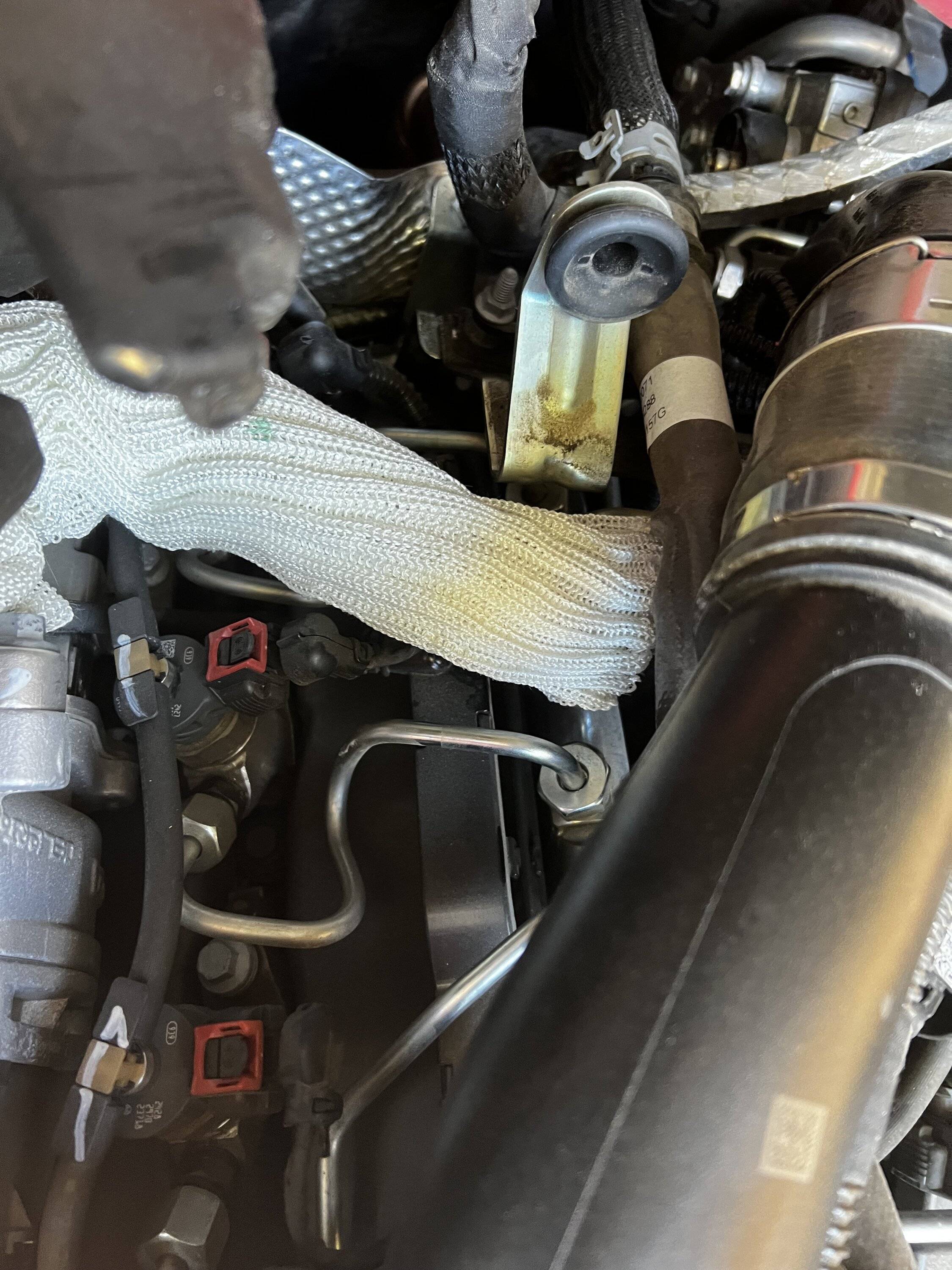 Jeep Gladiator Mouse ate heat wrap on my eco diesel - trying to figure out where it came from IMG_4639
