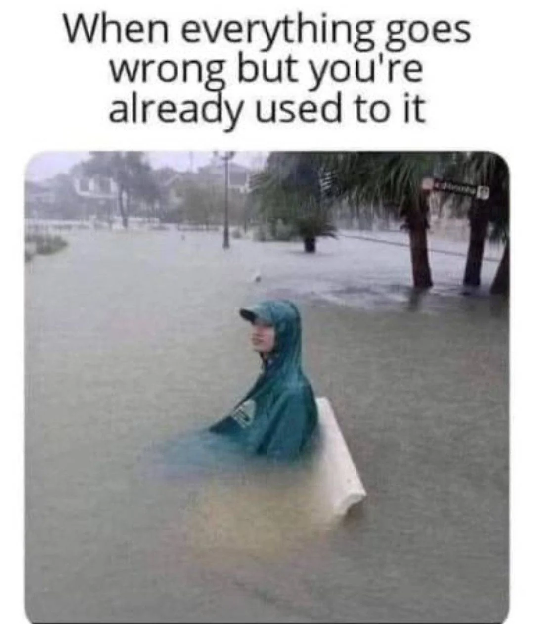 1707394500621.jpeg