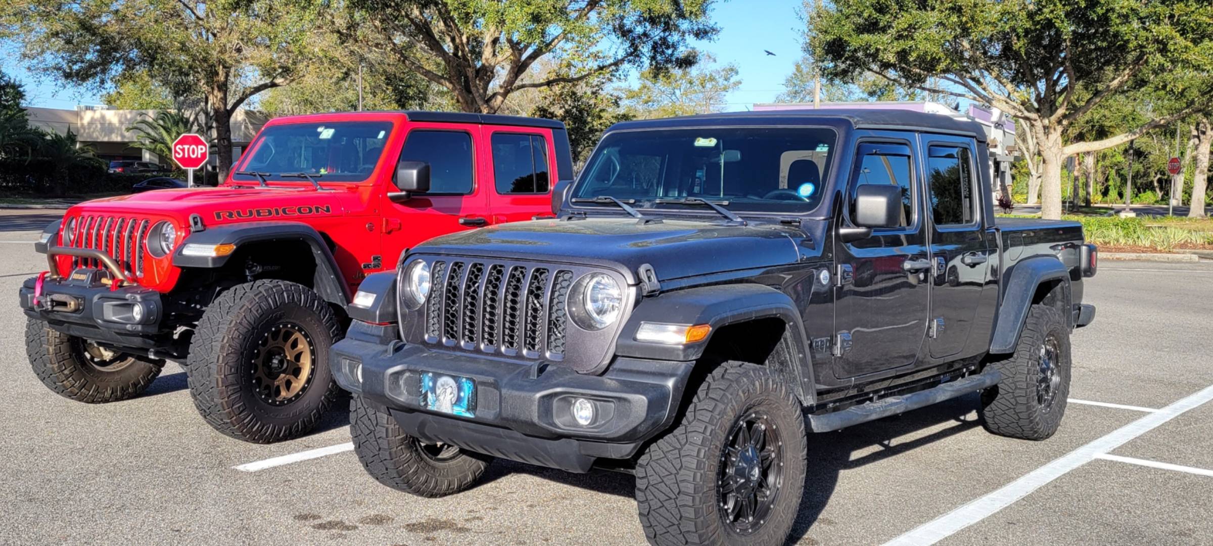 Jeep Gladiator Jeeps Parking Next To Jeeps 1000008027