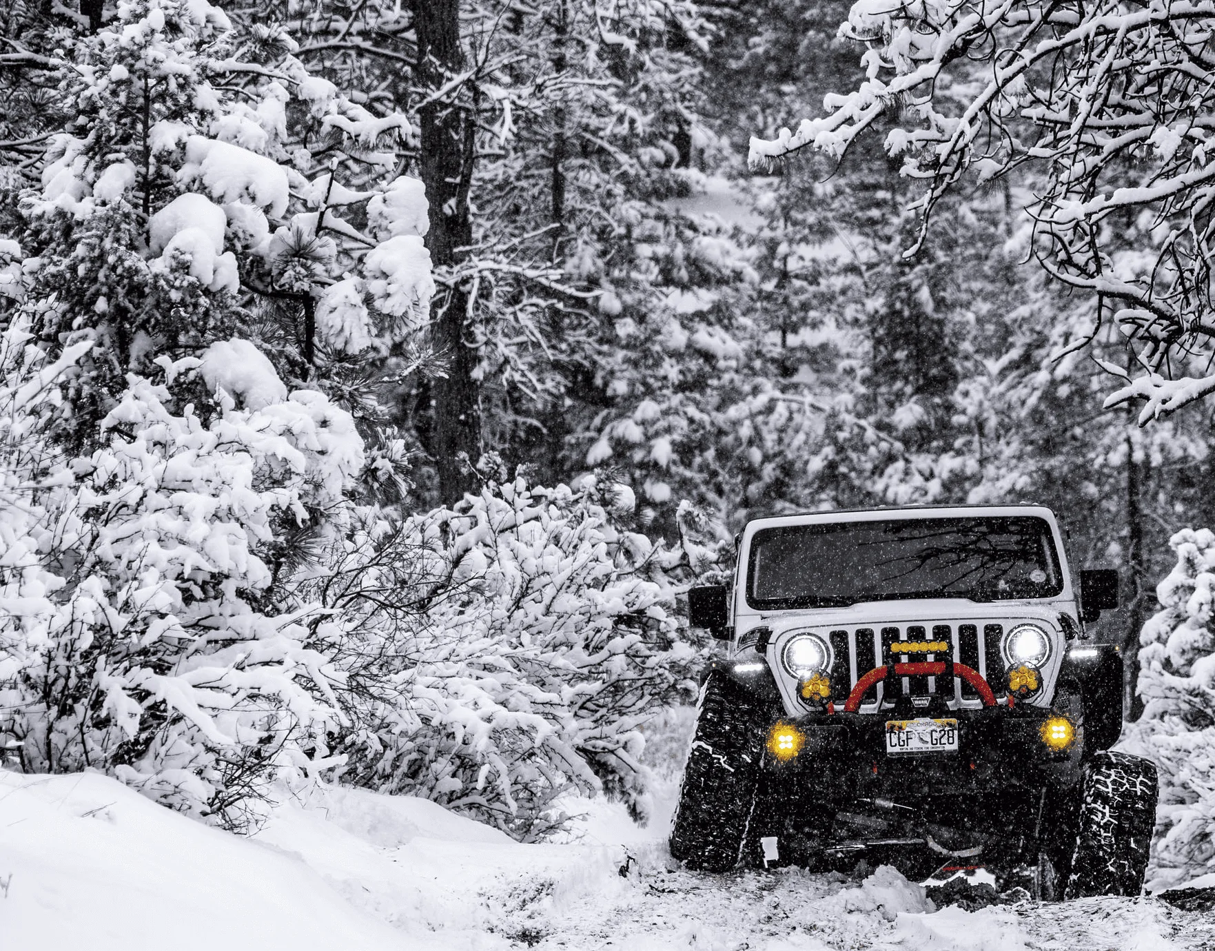 Jeep Gladiator Where did you WHEEL your Gladiator today? 1707497185957