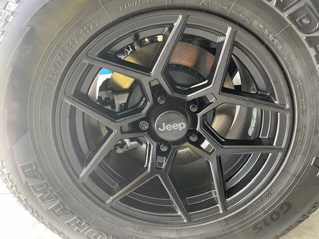 Jeep Gladiator Rock trix premium center caps IMG_0577