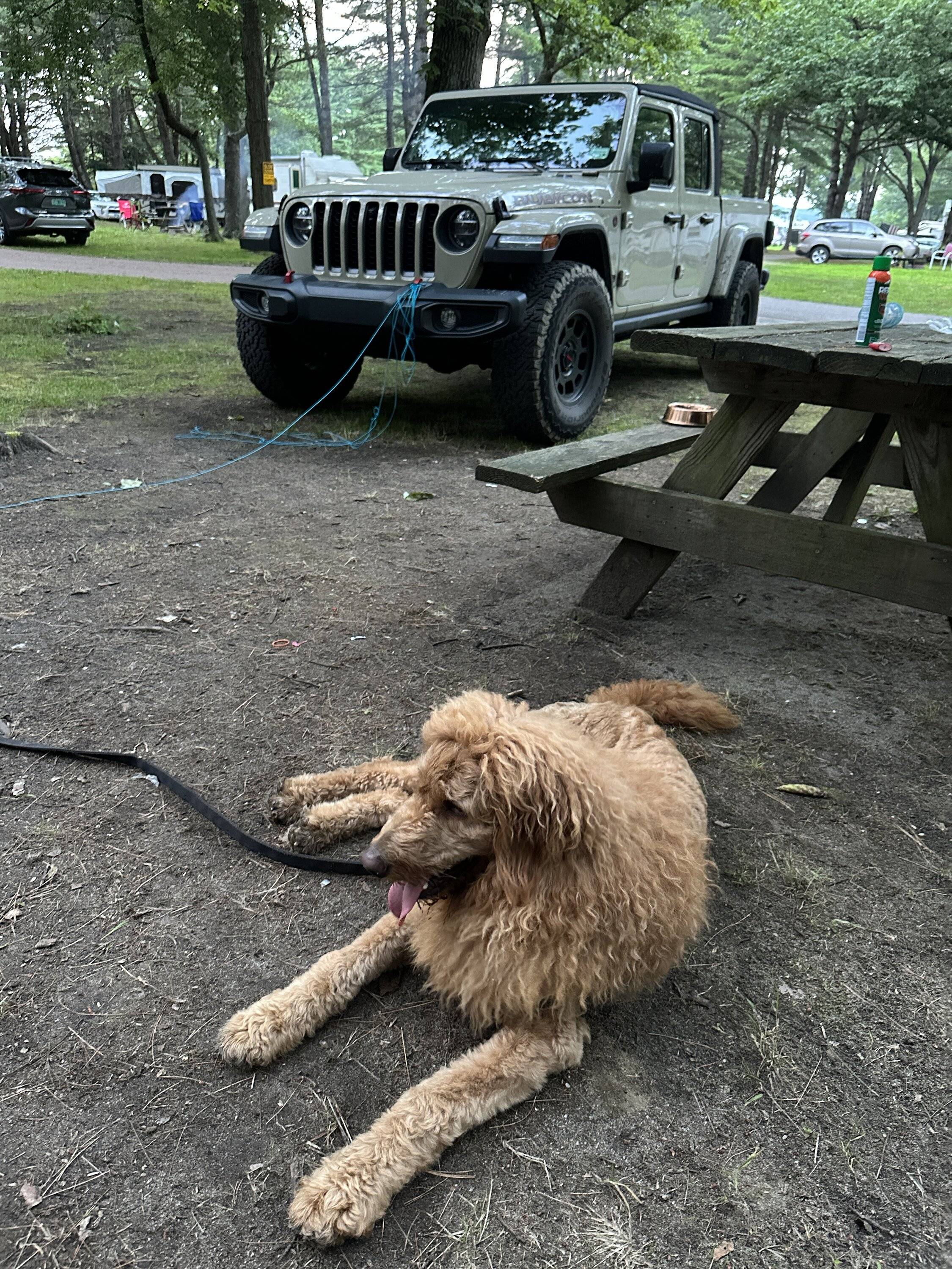 Jeep Gladiator Dogs and Jeeps 37A942ED-57B1-4388-A025-E6D125AF5CA2