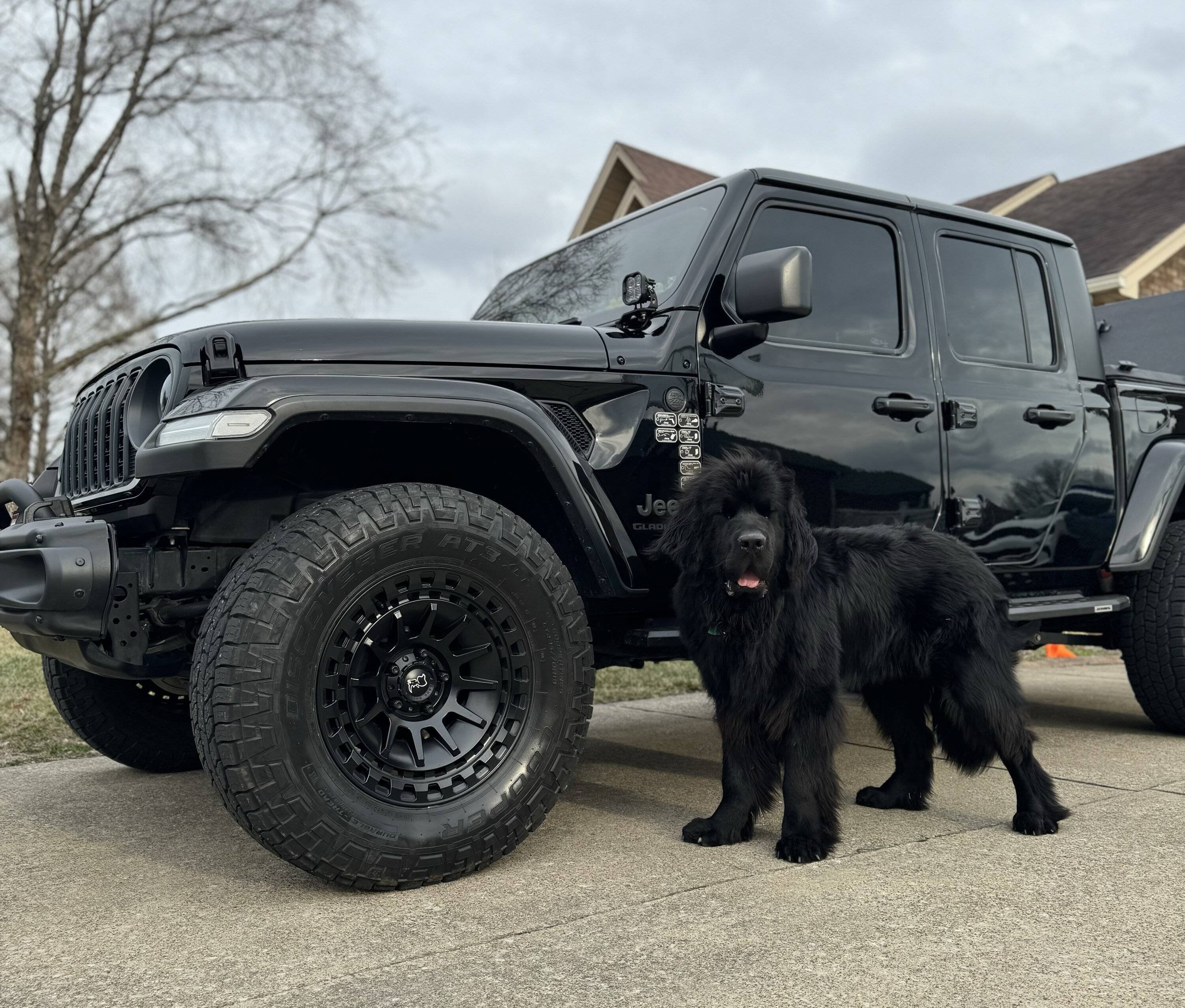Jeep Gladiator Let’s see your pets cause they are the best companion you can have!!!!! IMG_1161