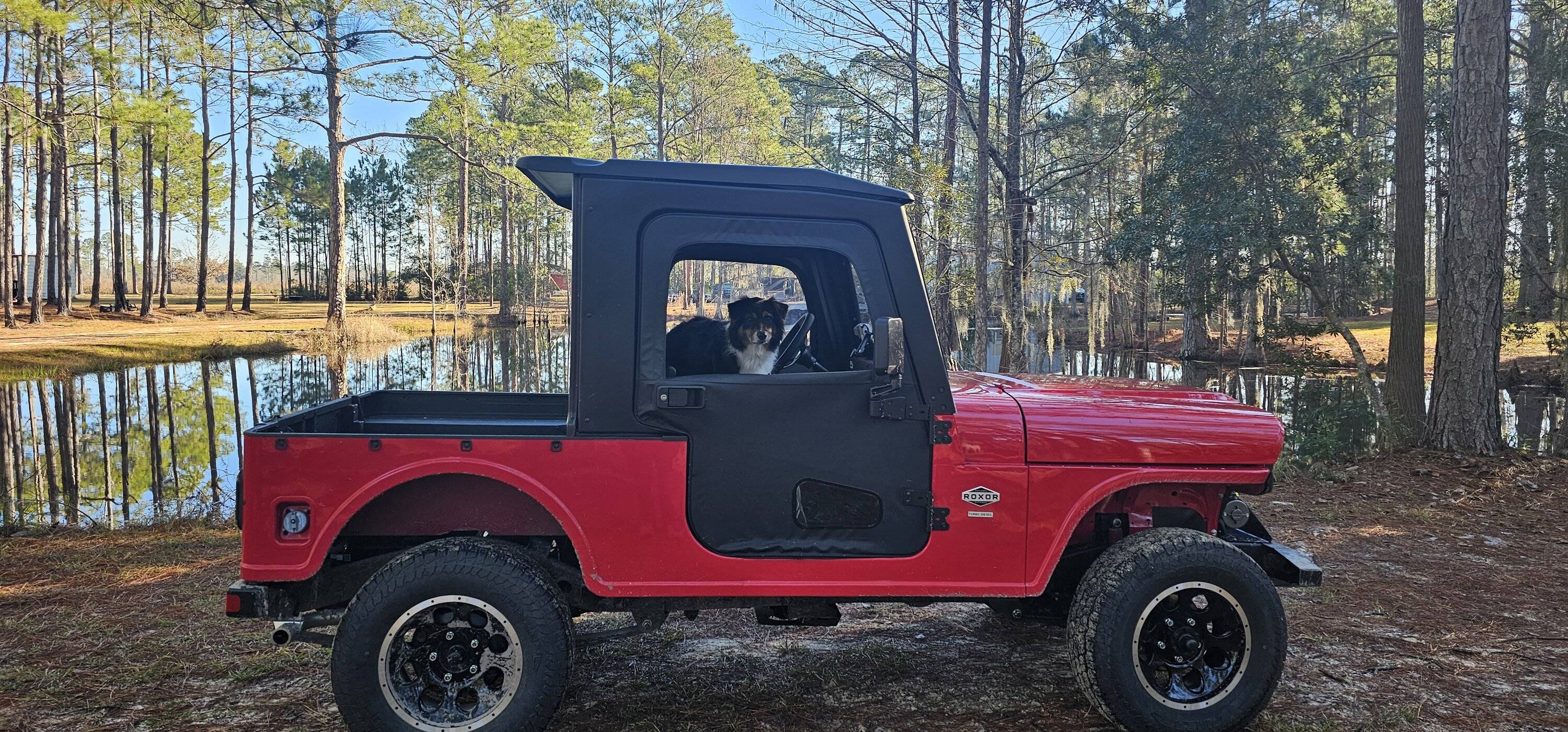 Jeep Gladiator Let’s see your pets cause they are the best companion you can have!!!!! 20231231_093552