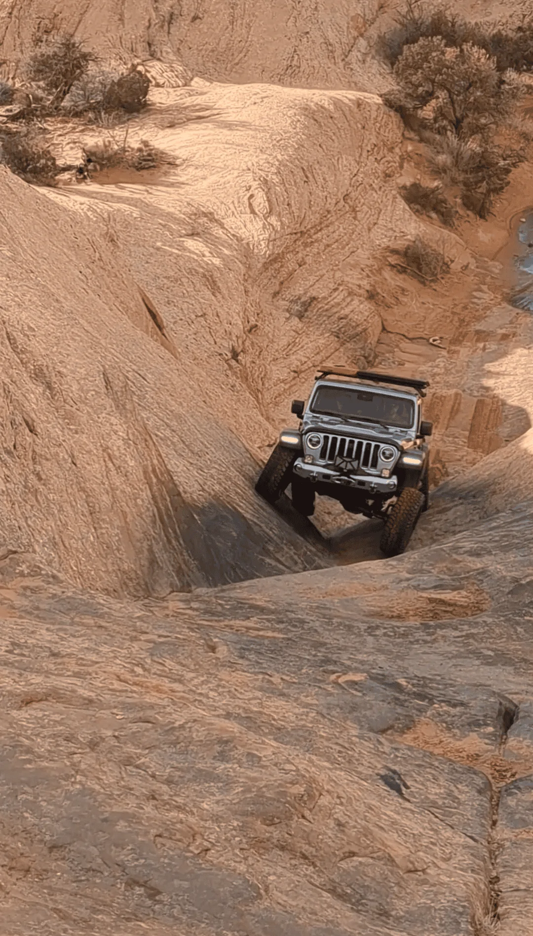 Jeep Gladiator What did you do WITH your Gladiator today? Screenshot_20240210-155019