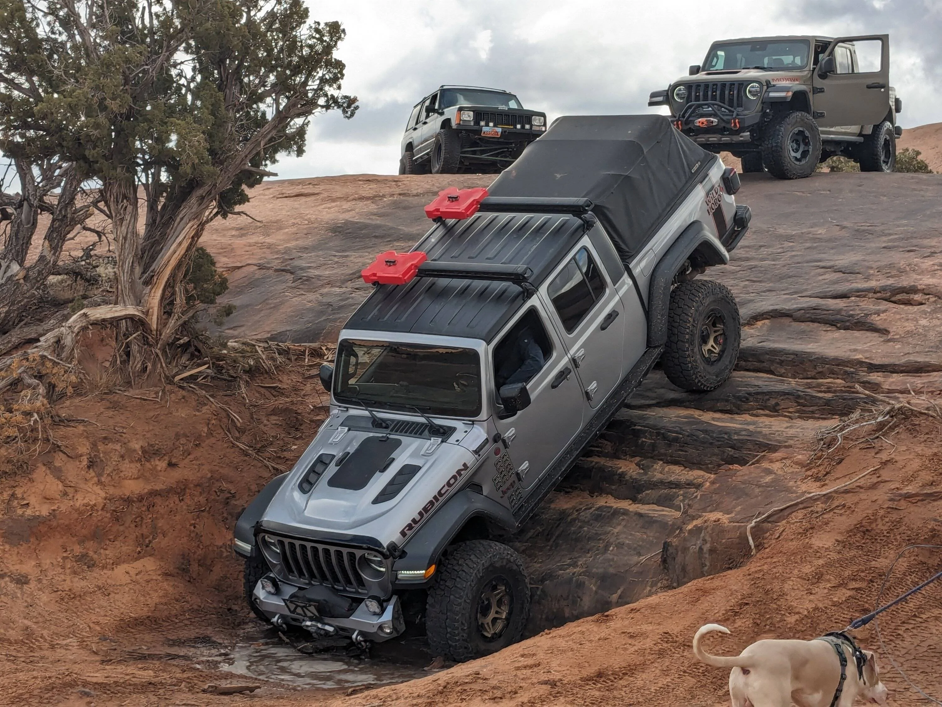 Jeep Gladiator What did you do WITH your Gladiator today? PXL_20240210_203325935