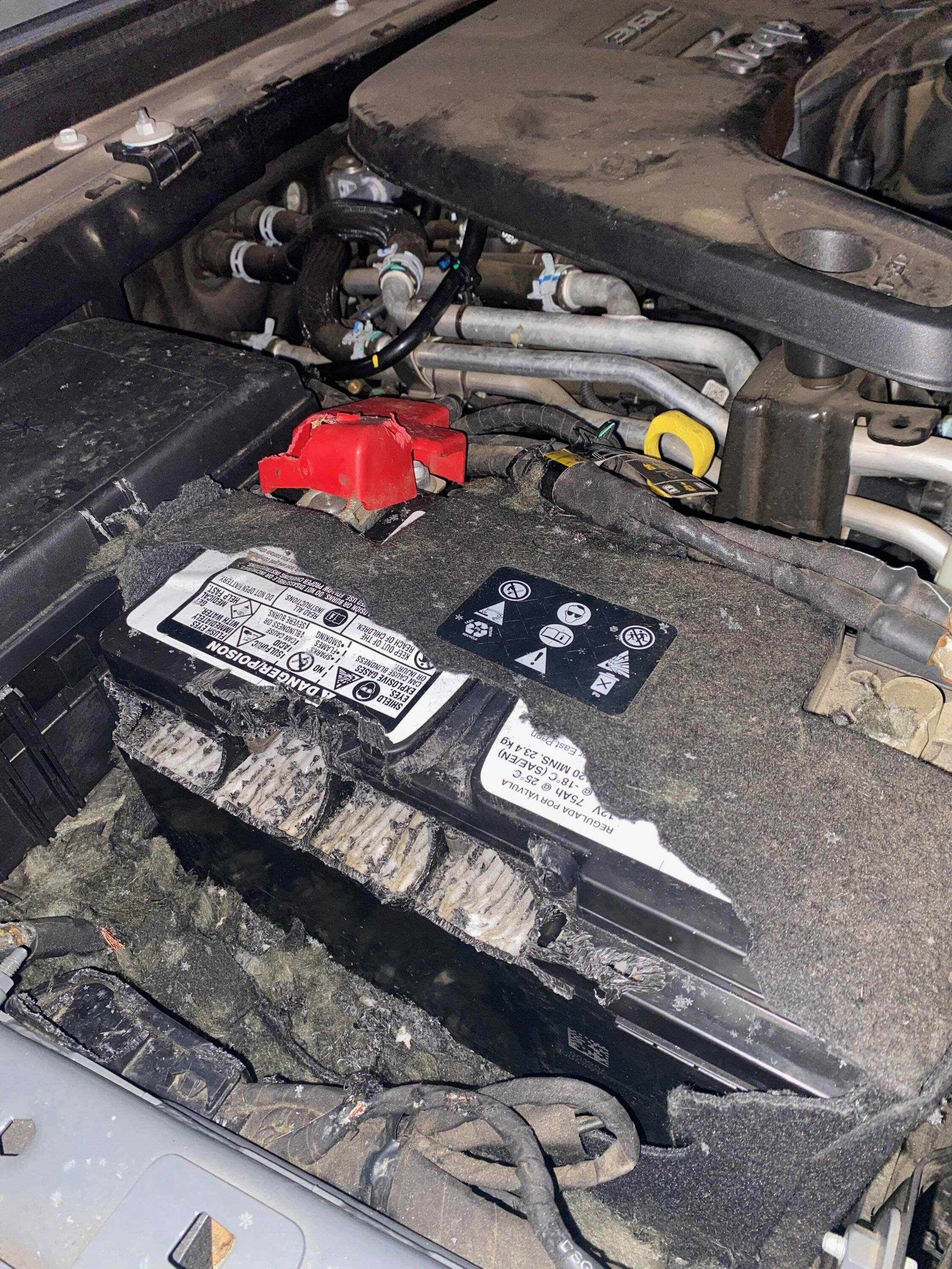 Jeep Gladiator Rodent Ate My Battery IMG_5081