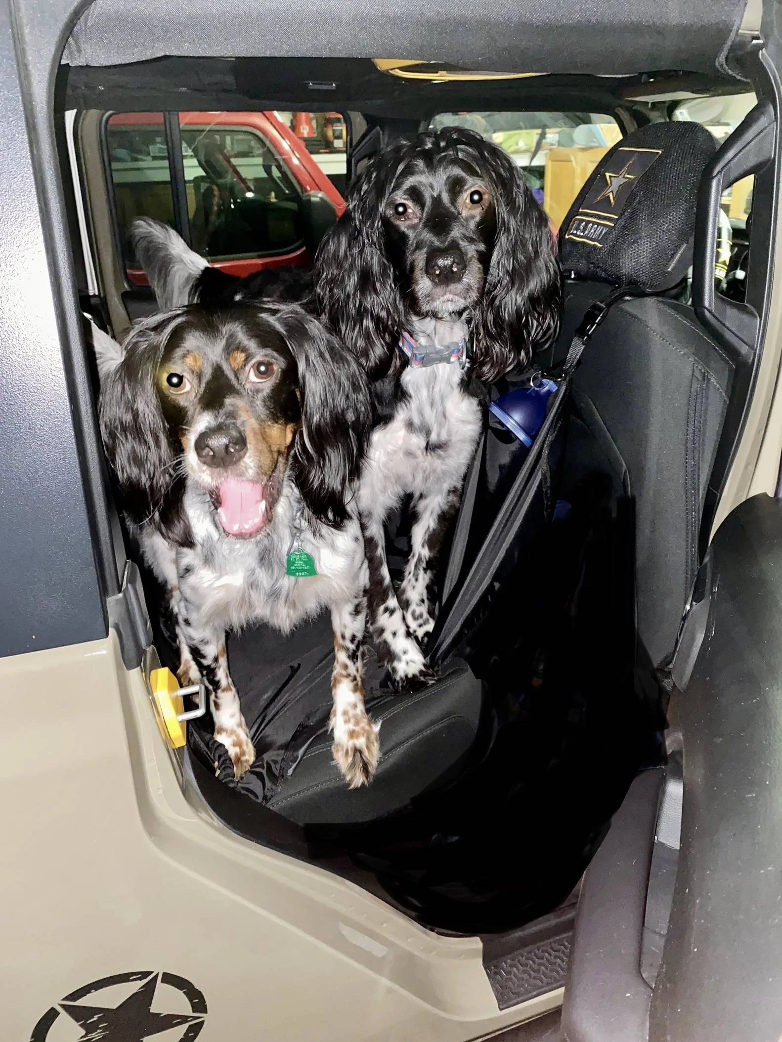 Jeep Gladiator Dogs and Jeeps IMG_1967