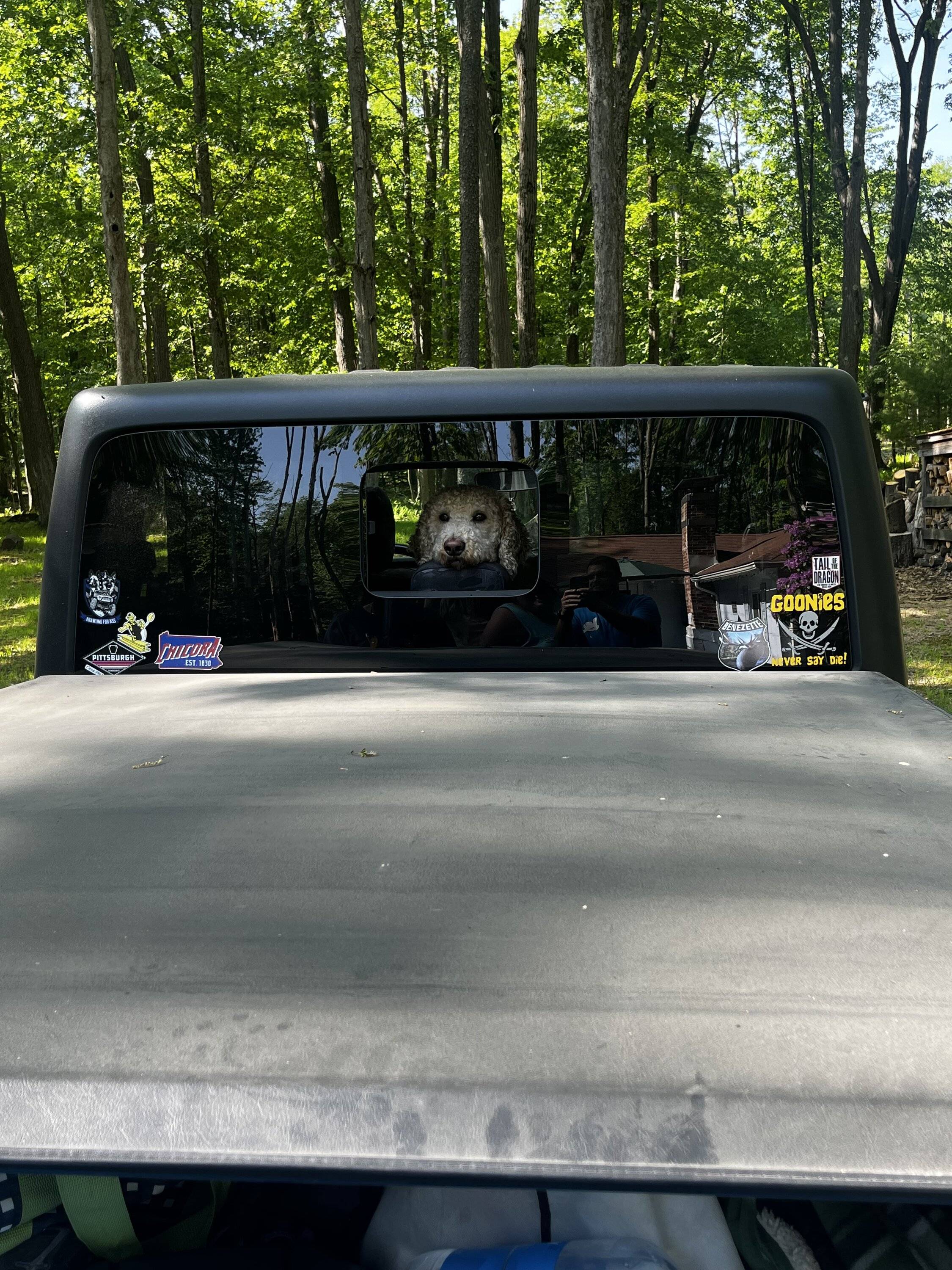 Jeep Gladiator Dogs and Jeeps IMG_4826