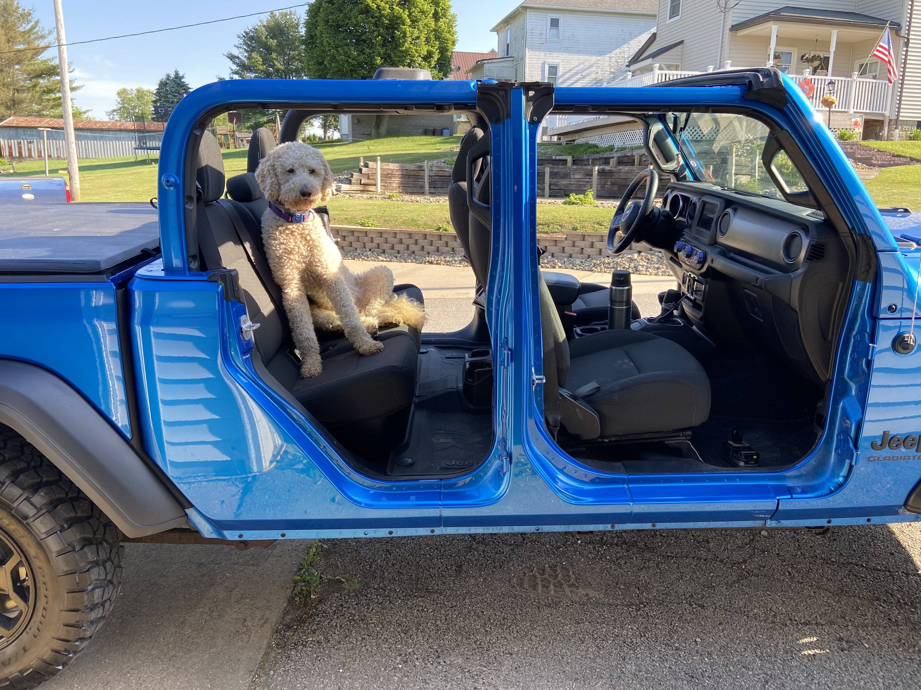 Jeep Gladiator Dogs and Jeeps IMG_2479